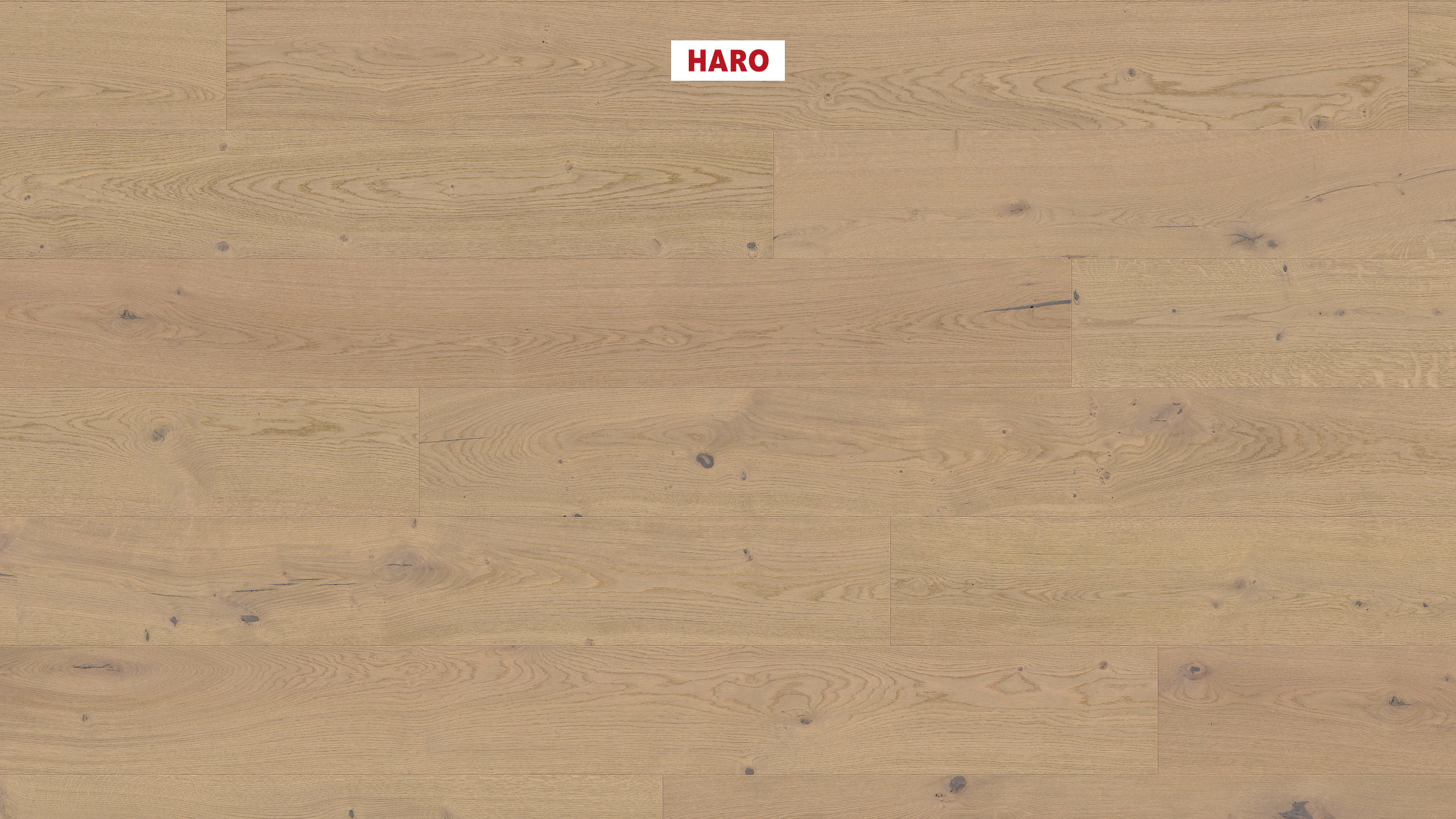 HARO PARQUET 4000 Planche large Plaza 240 4V Chêne gris sable Sauvage brossé naturaLin plus Top Connect
