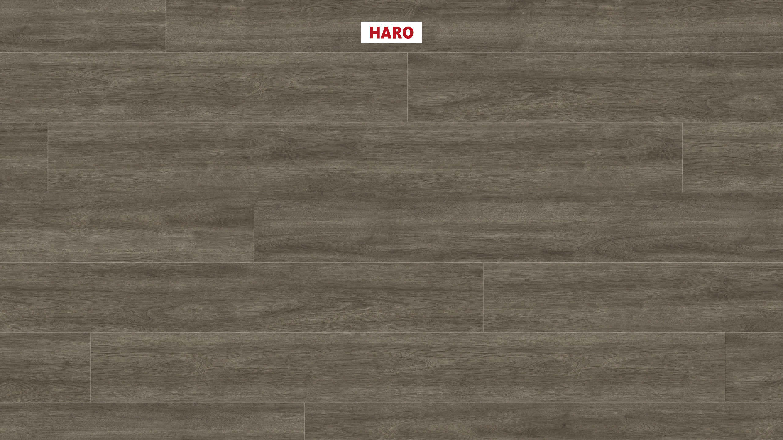 HARO Sol Stratifié TRITTY 100 Gran Via 4V Chêne Eleganza gris antique* authentic Silent Pro Top Connect