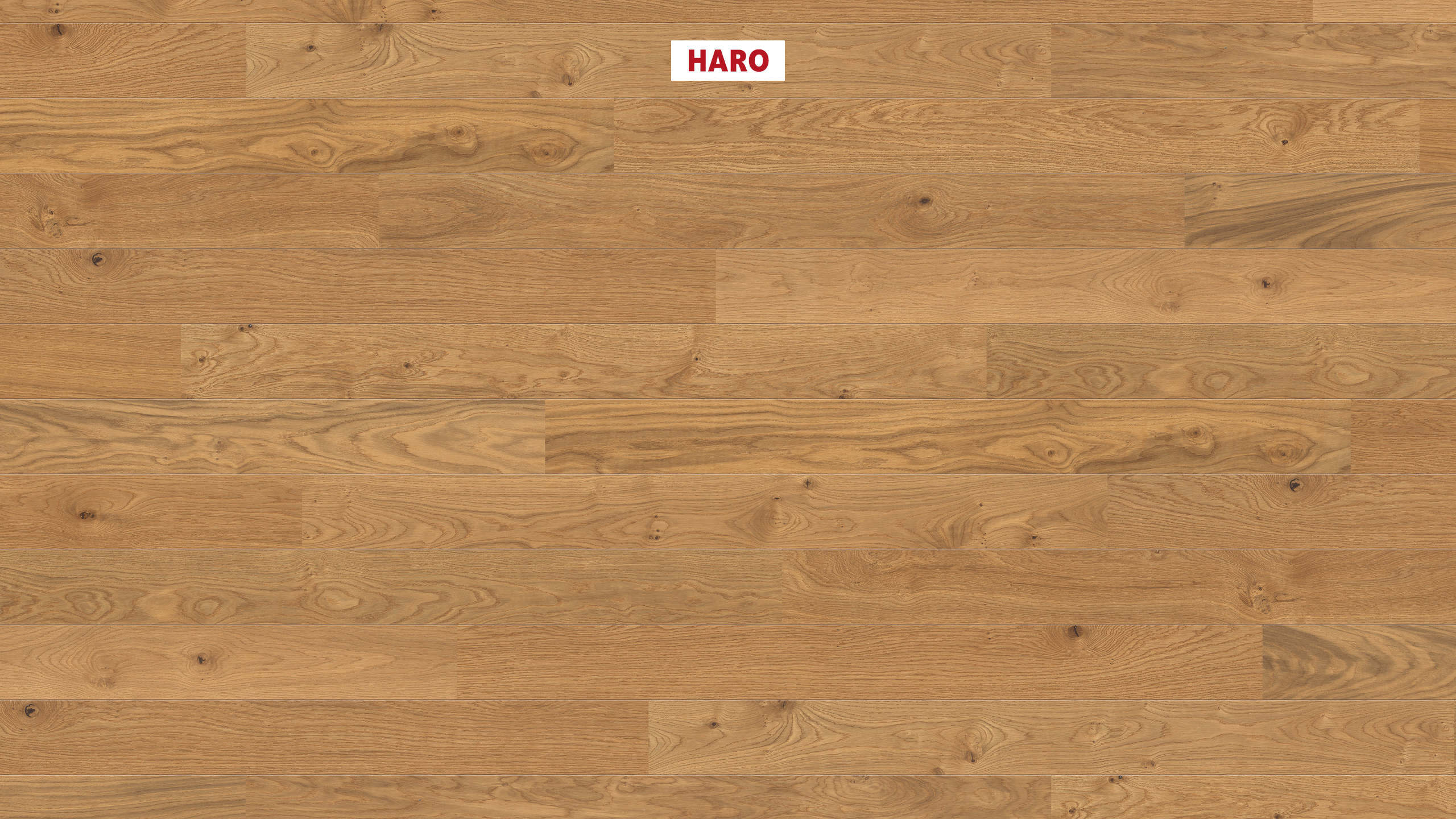 HARO PARQUET 4000 Planche large à l'ancienne 140 2V Chêne Markant brossé permaDur Top Connect