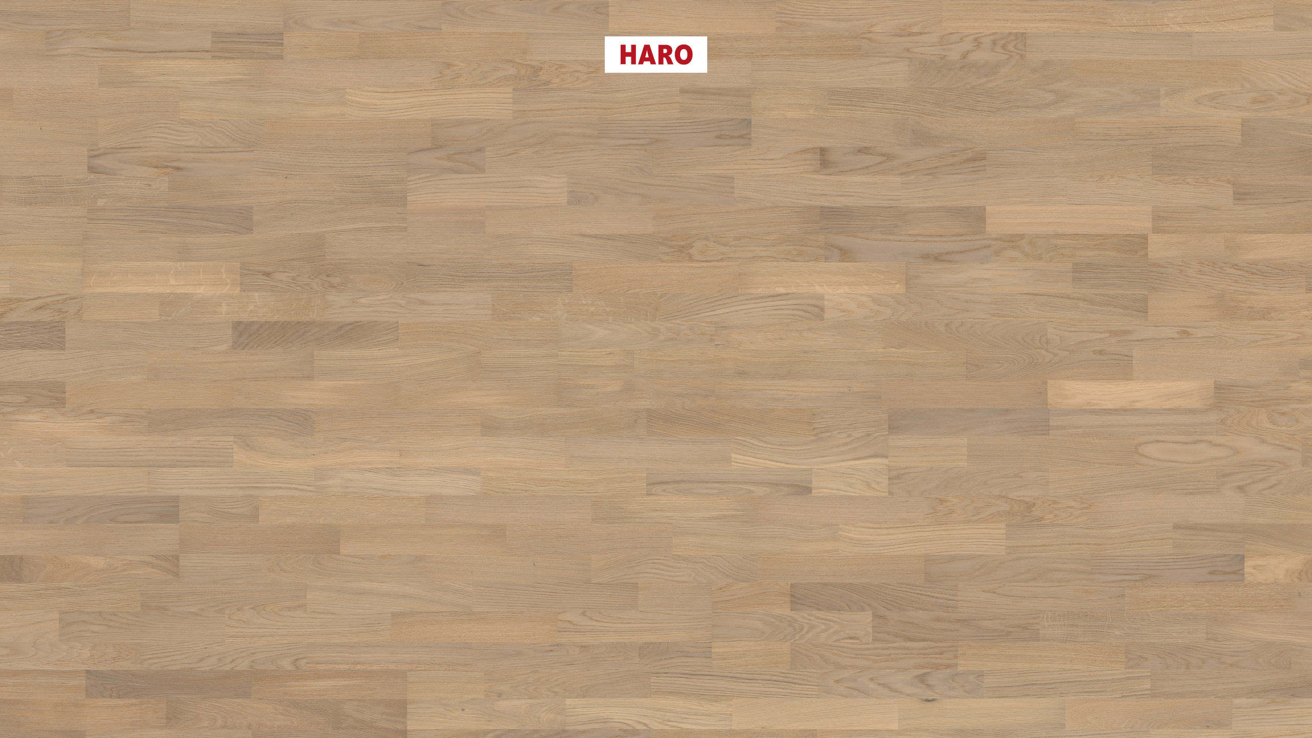 HARO PARQUET 4000 À l'anglaise Chêne blanc clair Naturale brossé permaDur Top Connect