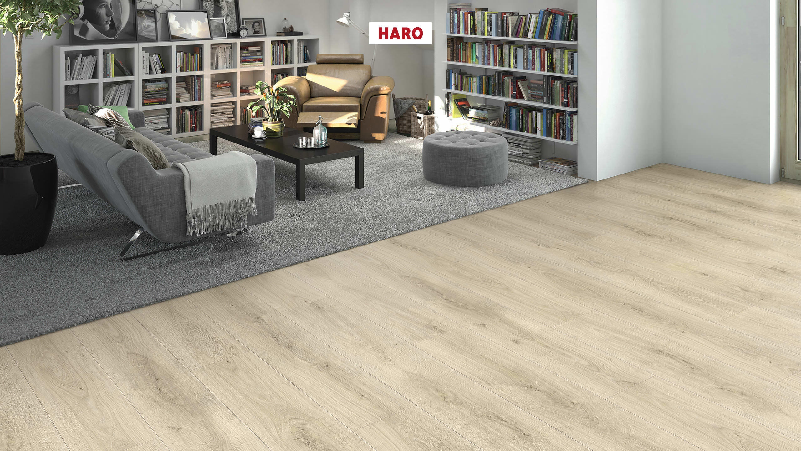 DISANO by HARO LifeAqua Planche large XL 4V Chêne Sheffield blanc crème* authentic Top Connect