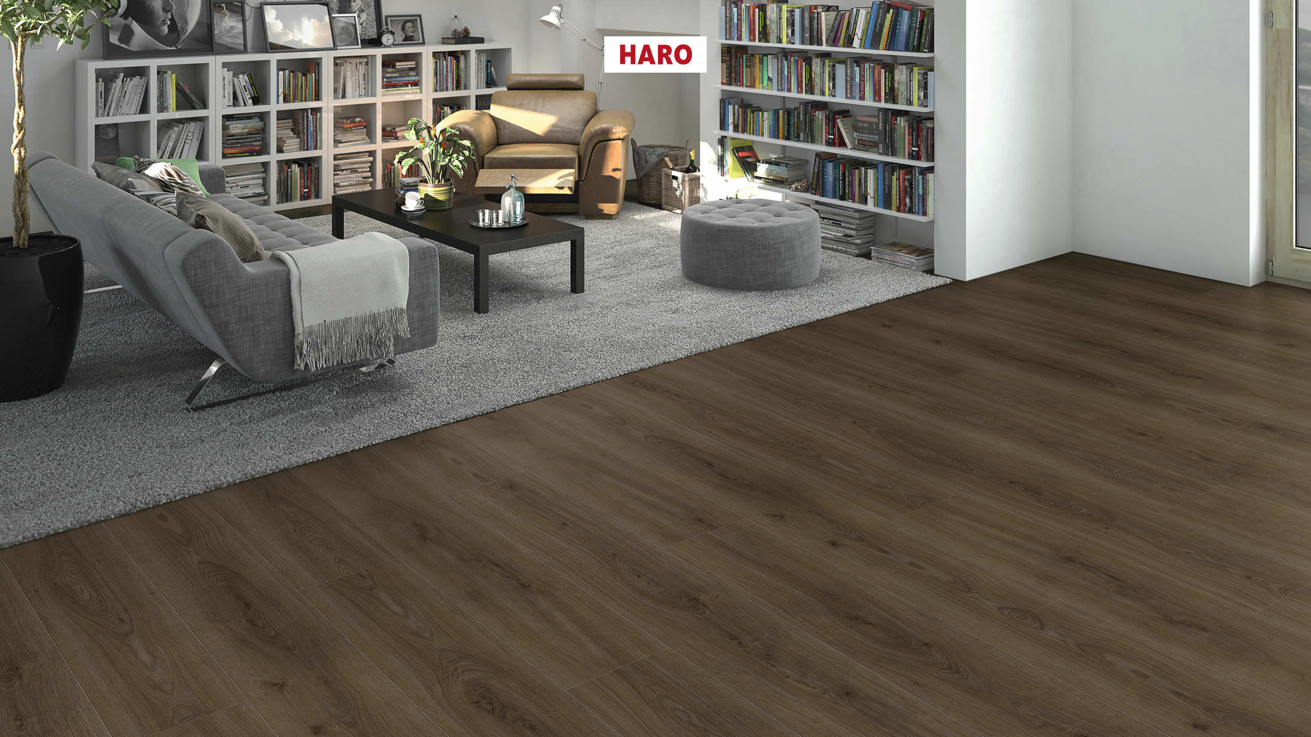 DISANO by HARO LifeAqua Planche large XL 4V Chêne Sheffield marron* authentic Top Connect