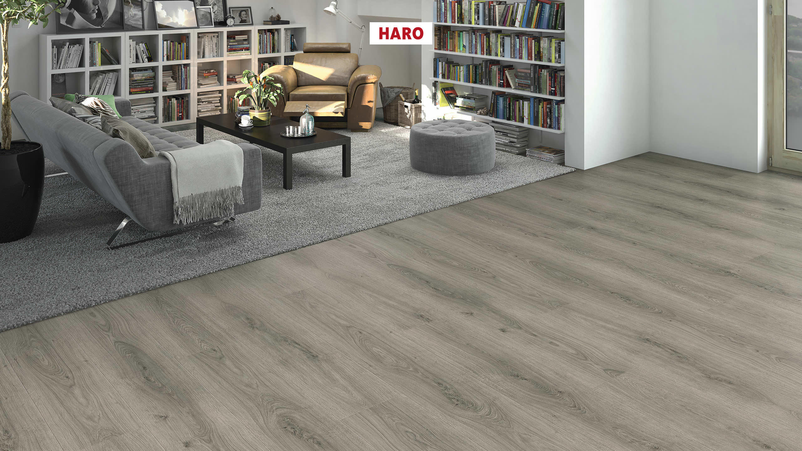 DISANO by HARO LifeAqua Planche large XL 4V Chêne Sheffield gris* authentic Top Connect