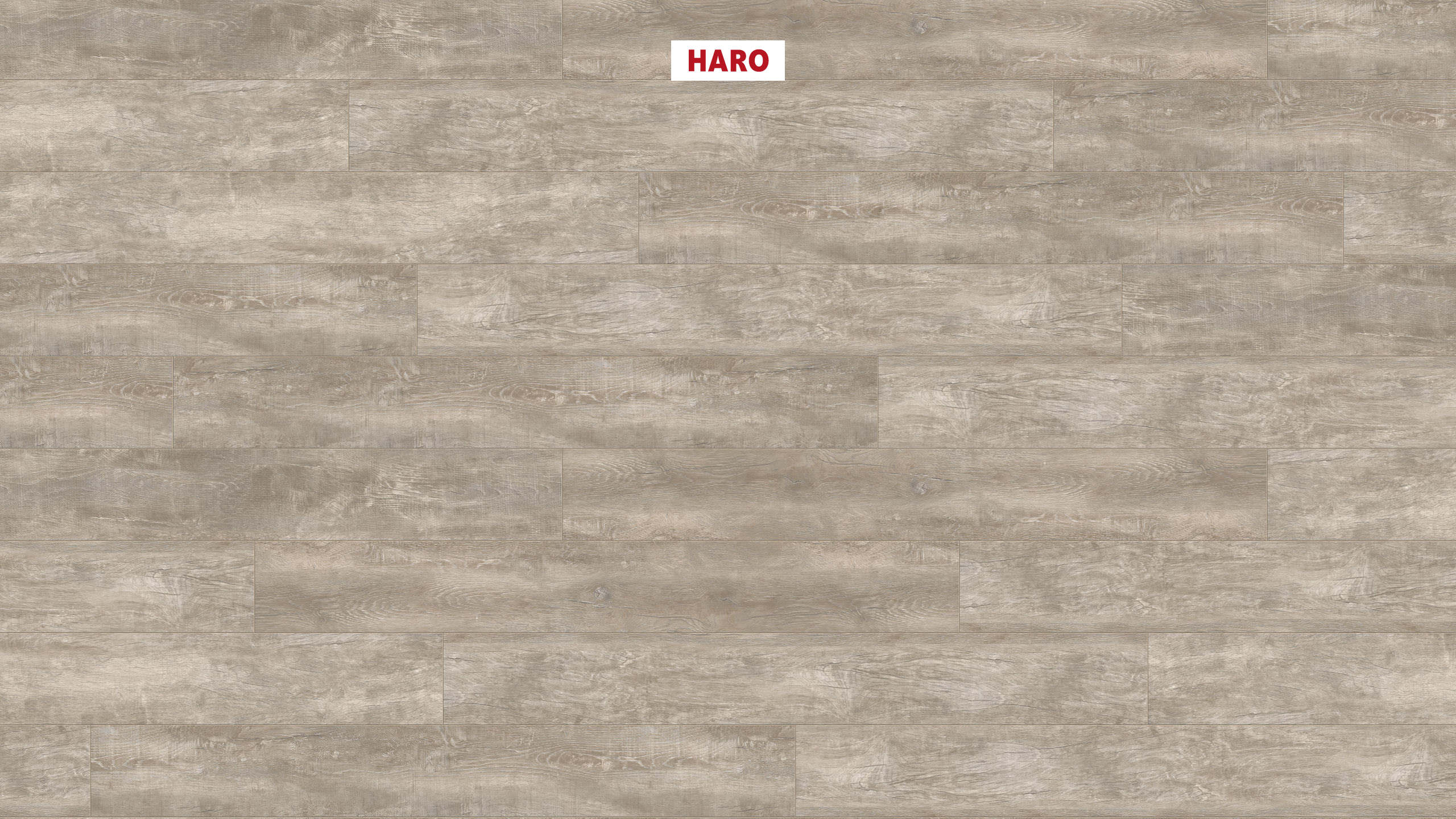 DISANO by HARO LifeAqua Planche large à l'ancienne 4V Chêne antique crème* brossé rustique Top Connect