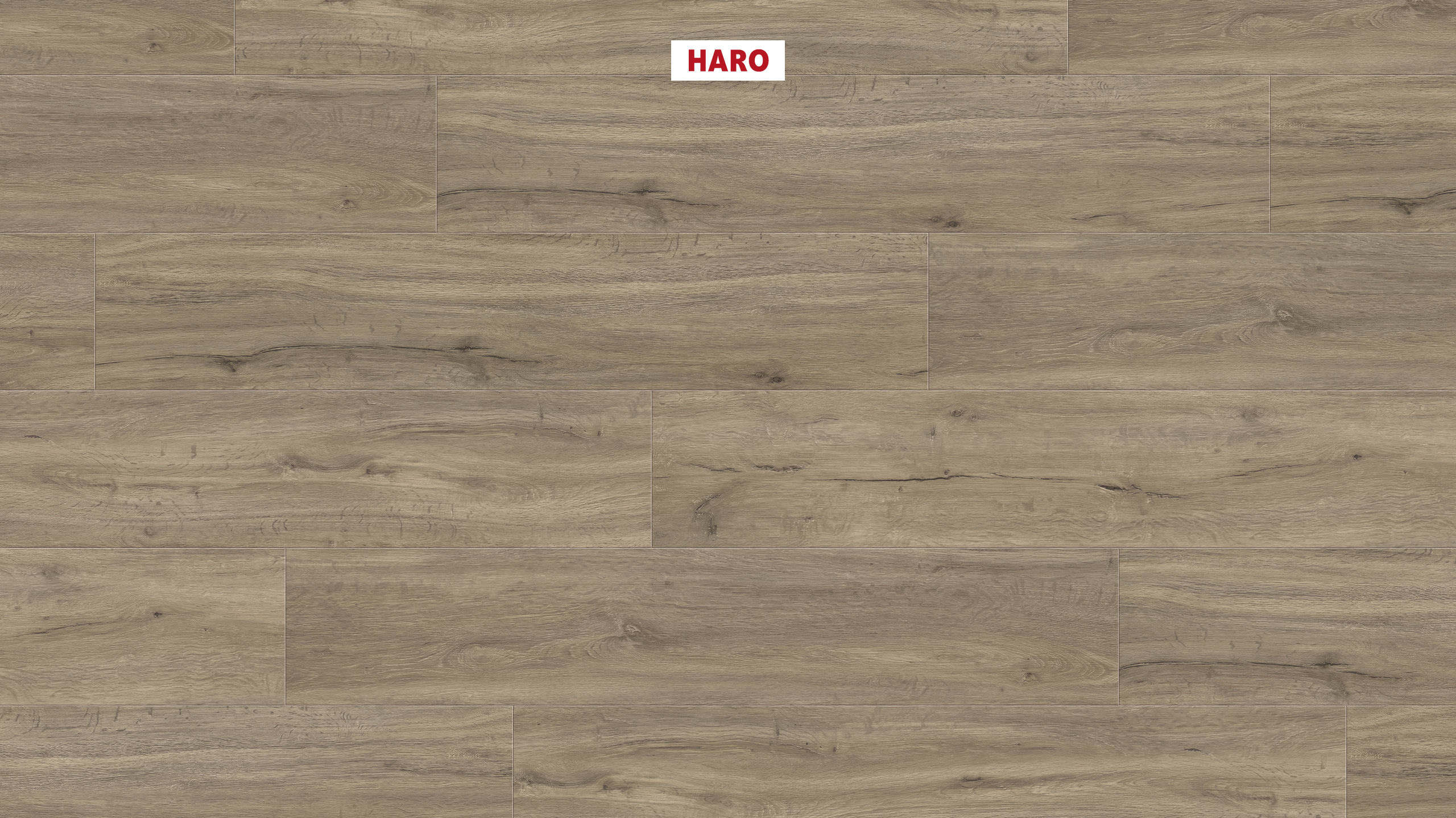 DISANO by HARO LifeAqua Planche large à l'ancienne 4V Chêne Columbia gris* brossé Top Connect