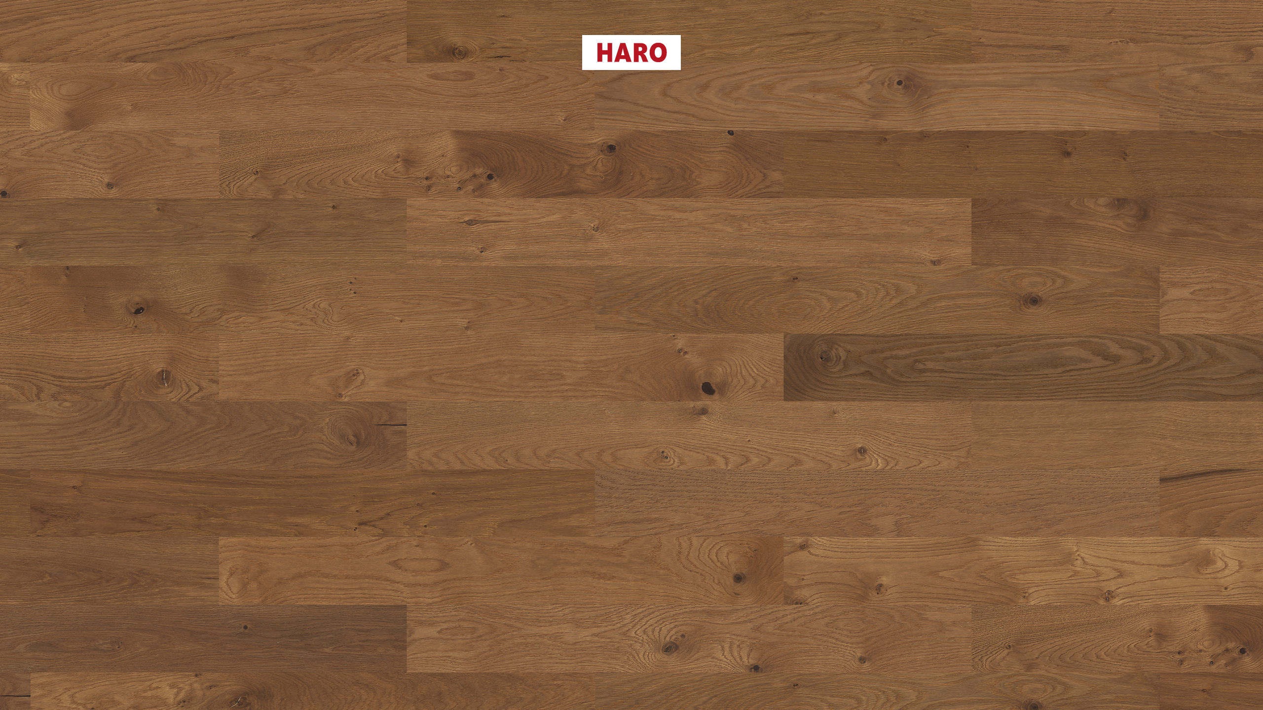 HARO PARQUET 4000 Planche large Prestige Chêne fumé Sauvage brossé naturaLin plus Rainure & languette