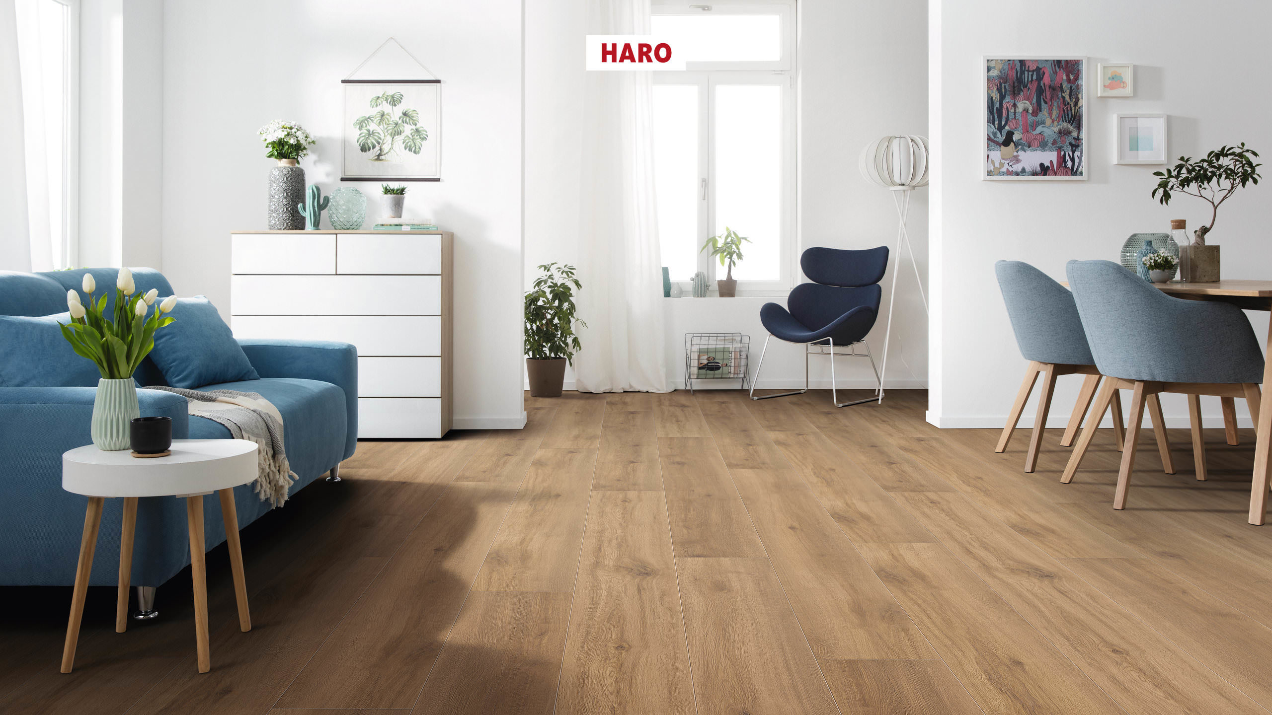 DISANO by HARO ClassicAqua Planche large XL 4V Chêne Provence nature* authentic Top Connect