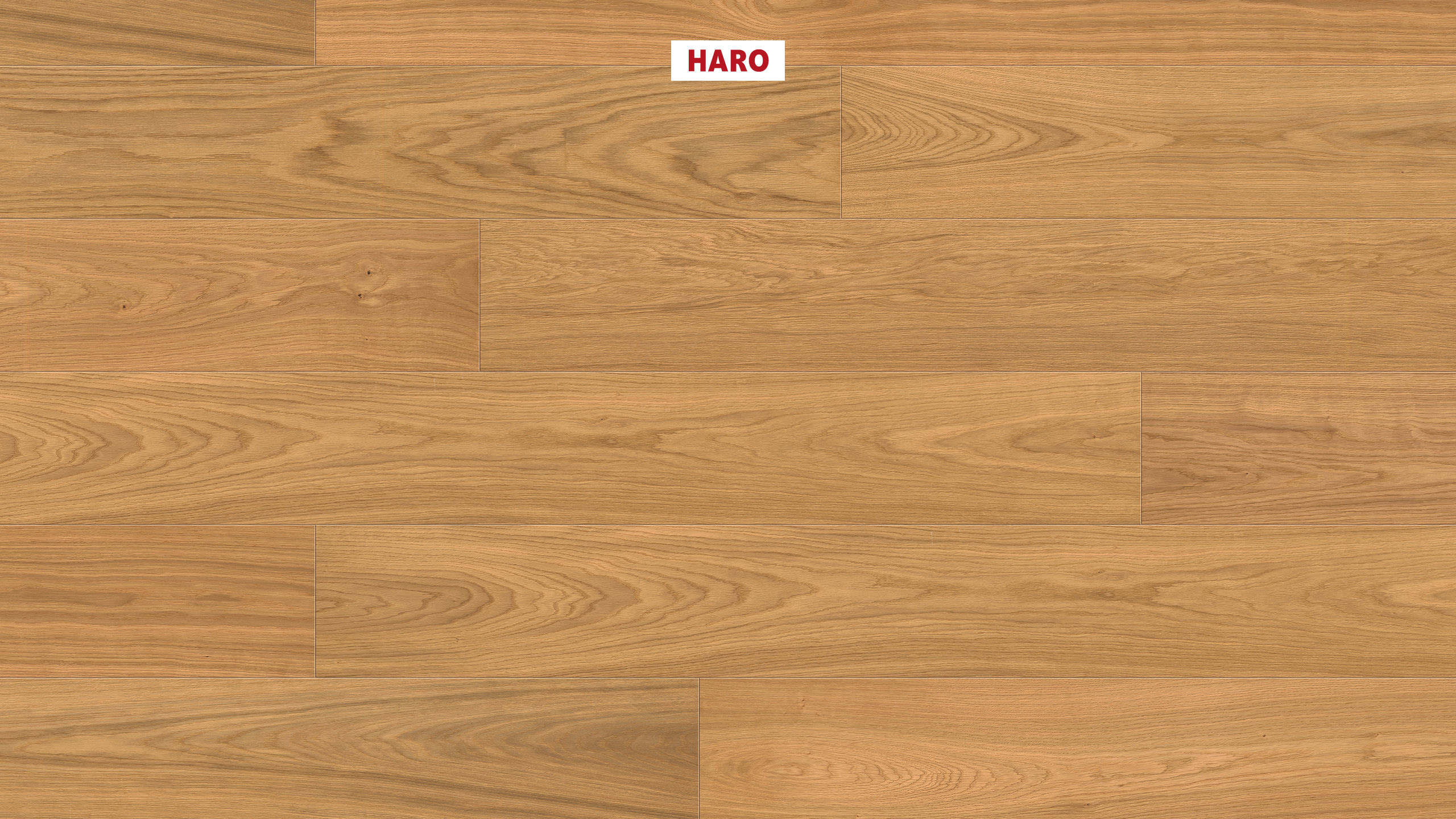 HARO Wood Performance Floor Multivo Planche large 4V Chêne Elegant brossé naturaDur plus Top Connect
