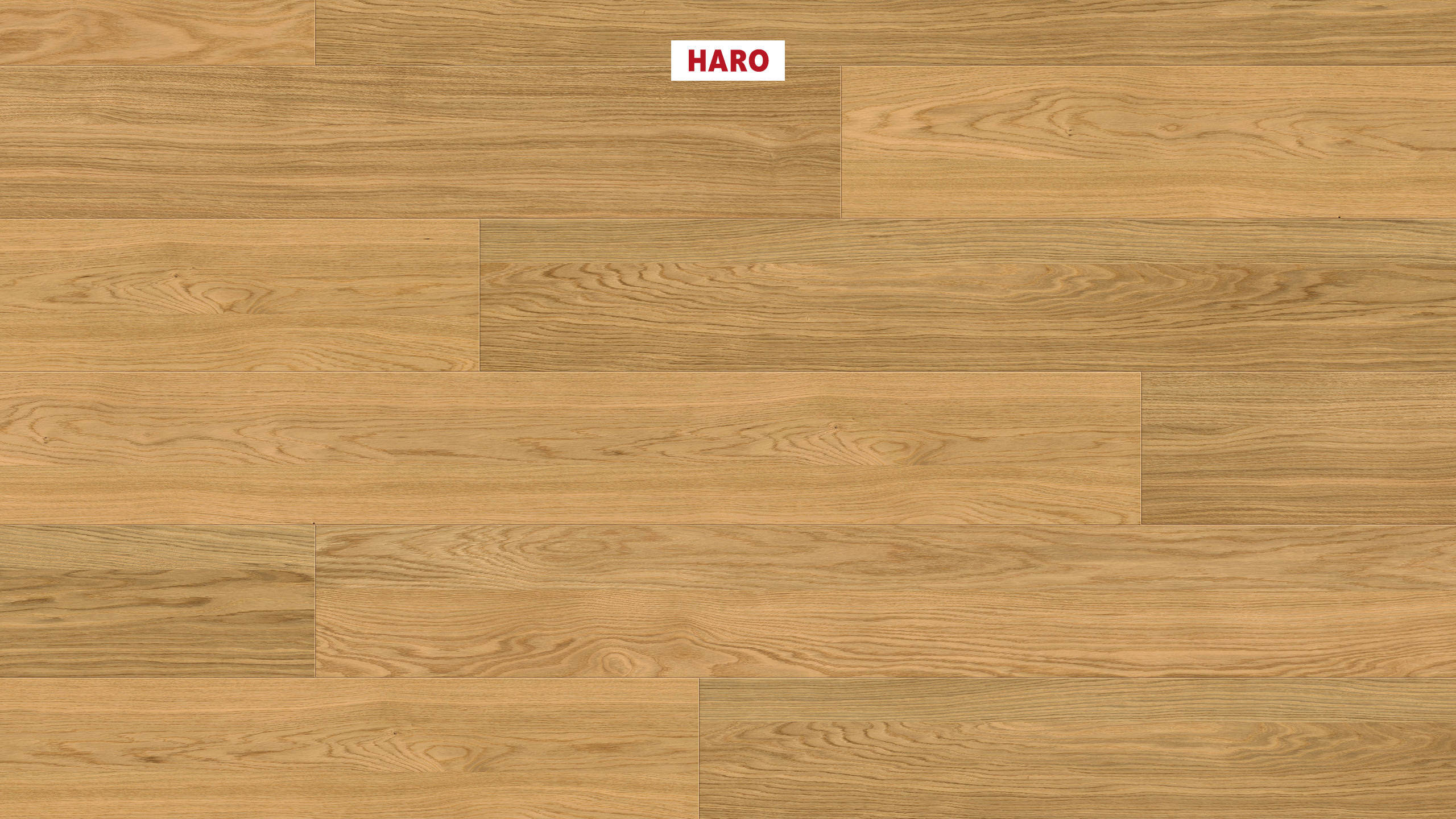 HARO Wood Performance Floor Multivo 2-frises 4V Chêne Elegant brossé naturaDur plus Top Connect