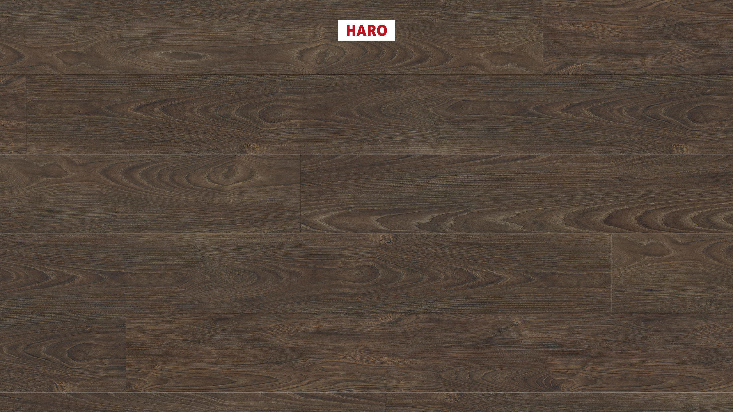 HARO Sol Stratifié TRITTY 100 Gran Via 4V Acacia Vario* authentic soft Silent CT Top Connect