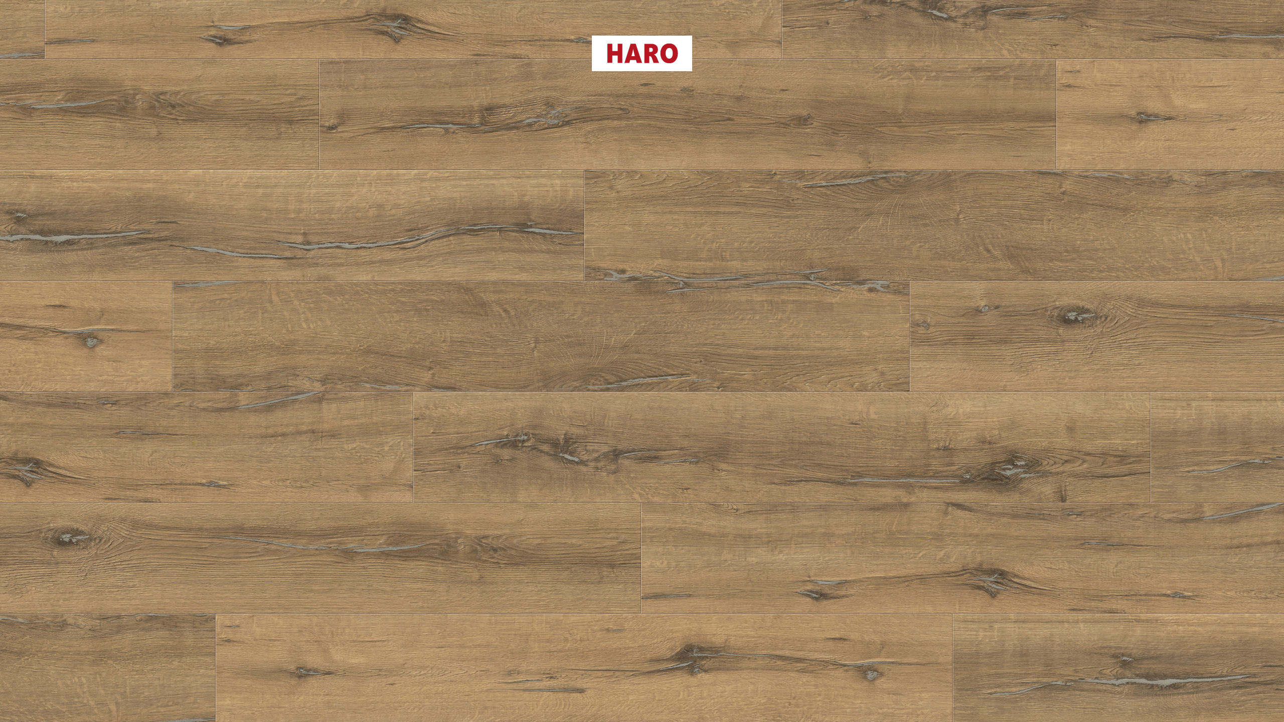 HARO Sol Stratifié TRITTY 200 Aqua Planche large à l'ancienne 4V Chêne Metallic nature* authentic Silent Pro Top Connect