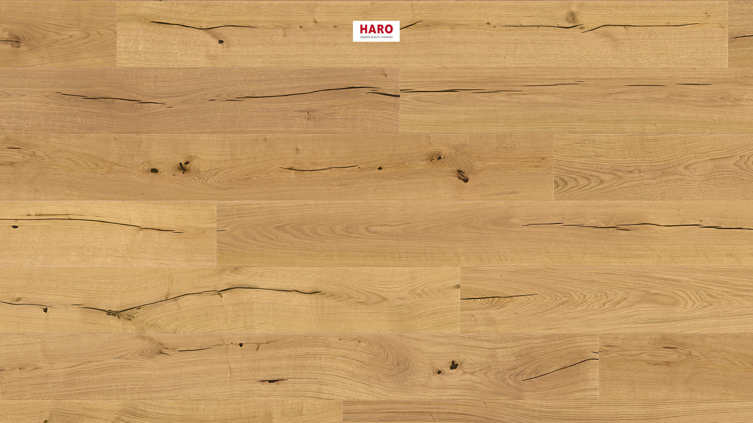 HARO PARQUET 4000 Planche large Plaza 240 4V Chêne Alabama brossé naturaLin plus Top Connect