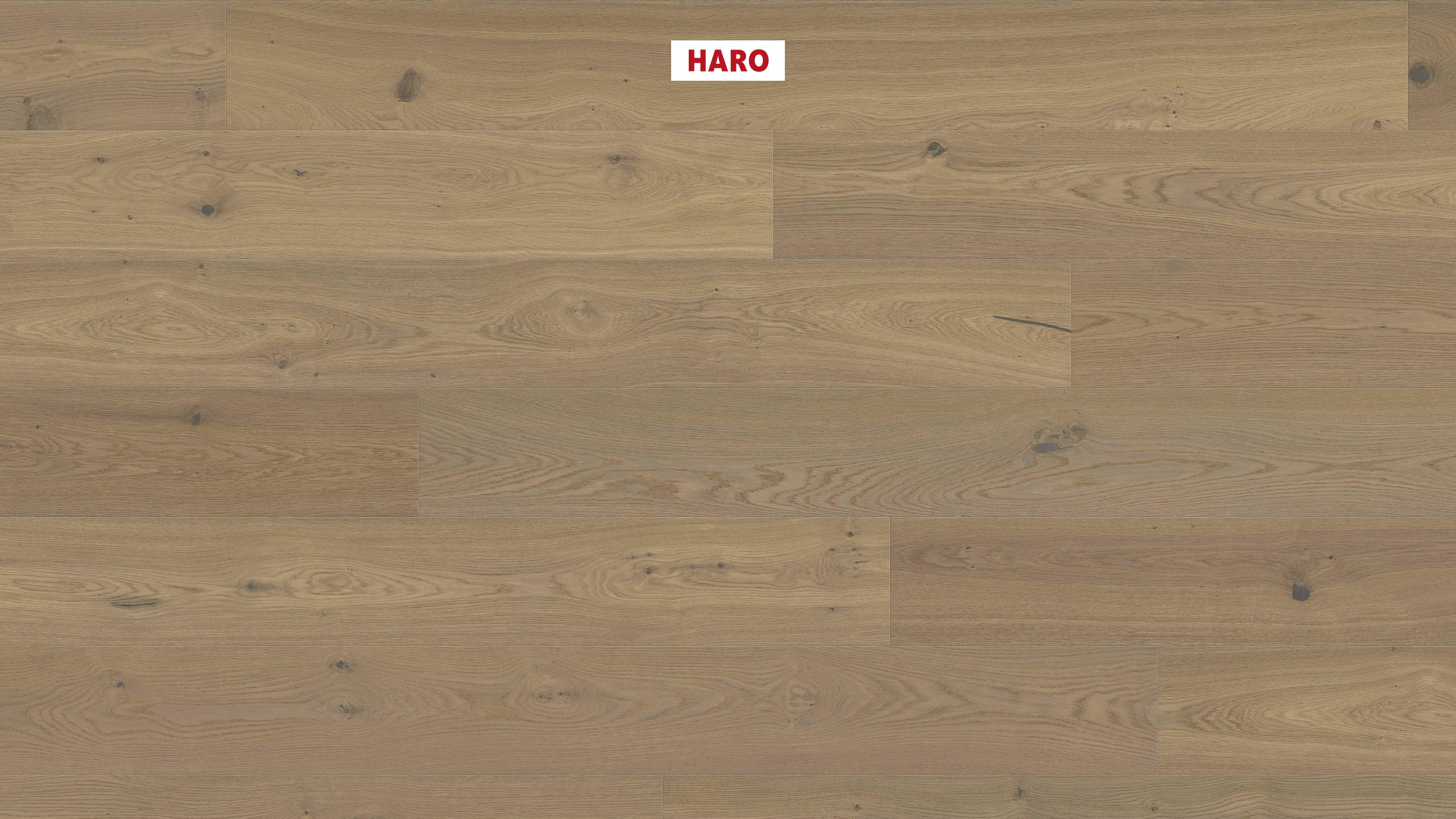 HARO PARQUET 4000 Planche large Plaza 240 4V Chêne fumé léger blanc puro Universal brossé naturaLin plus Top Connect