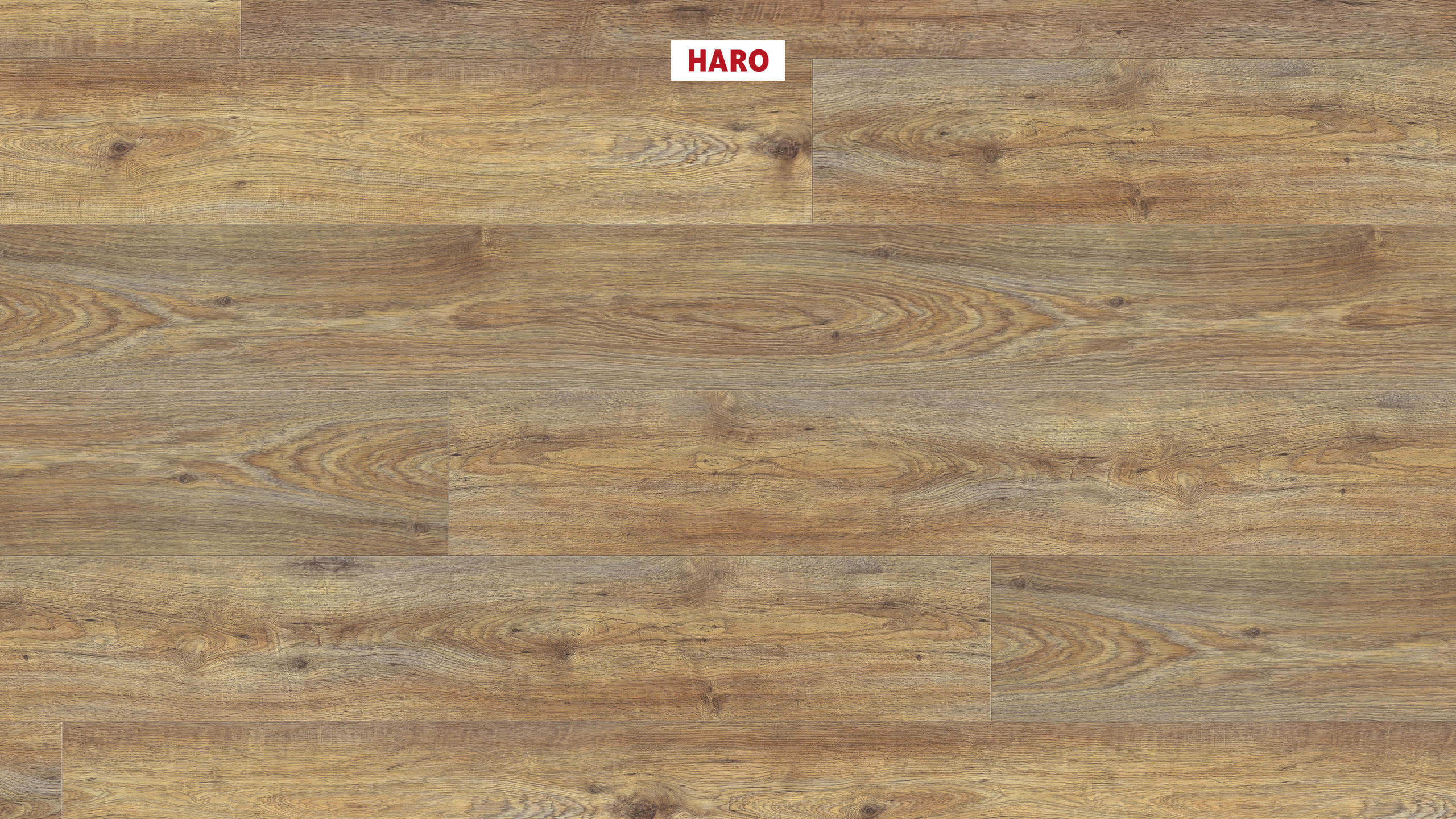 DISANO by HARO WaveAqua Planche large XL 4V Chêne Quebec caramel* authentic Top Connect