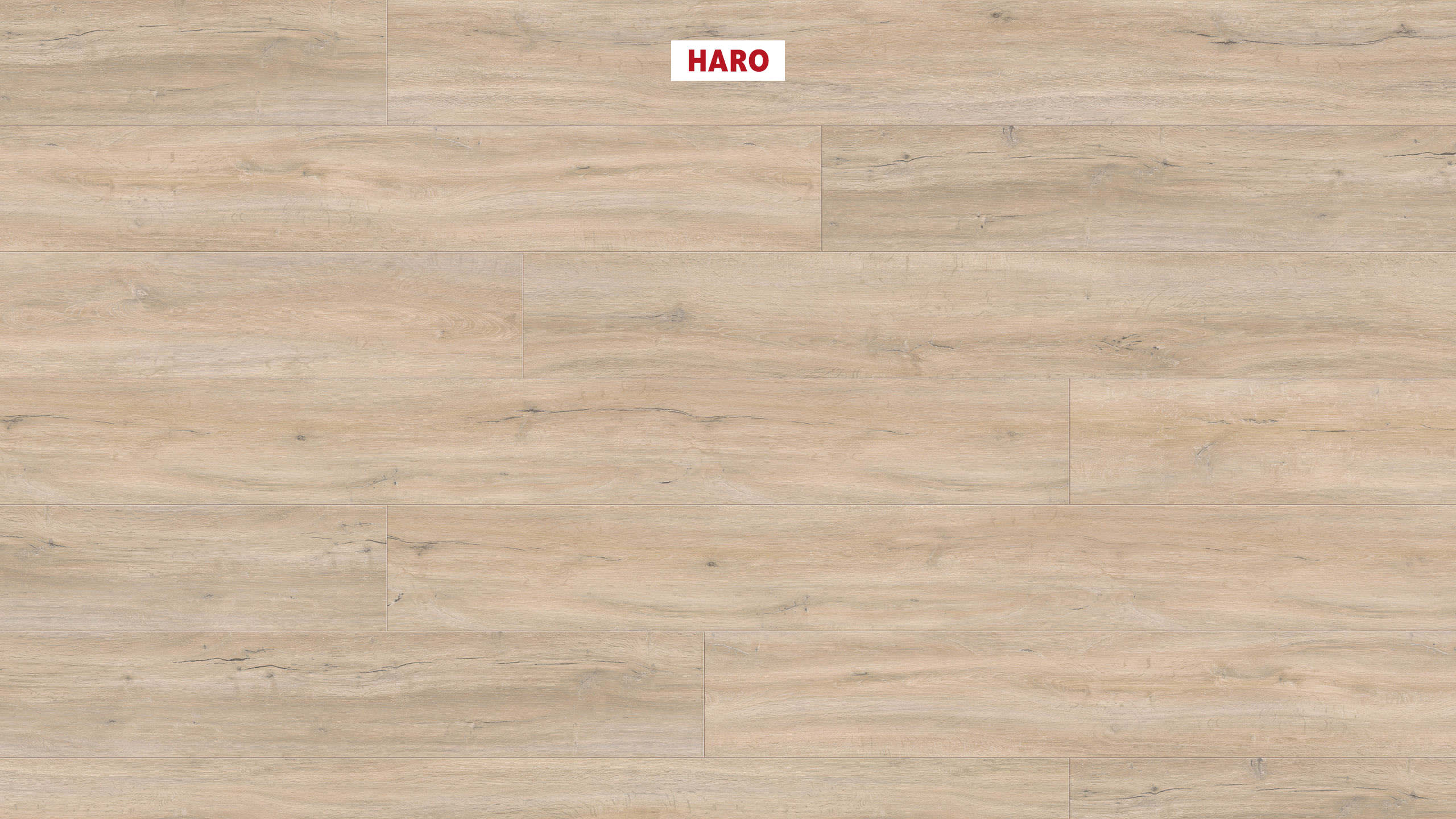 DISANO by HARO ClassicAqua Planche large XL 4V Chêne Jubilé* brossé Top Connect