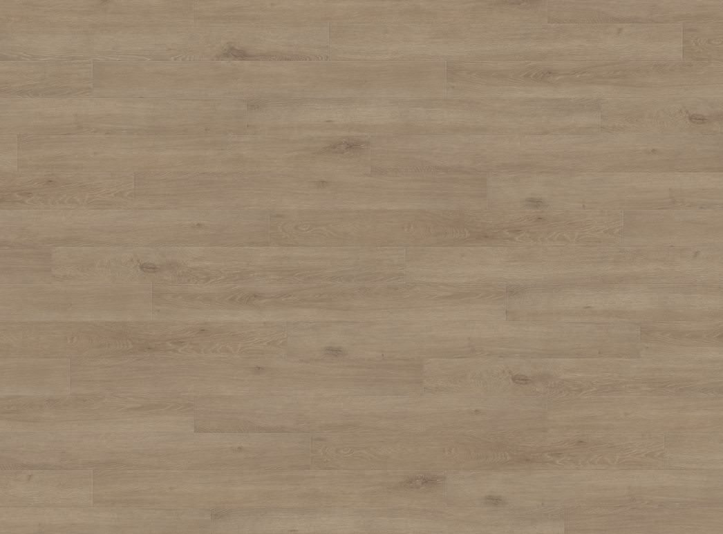 Immagine del prodotto 1 Loft 4B Rovere Veneto crema* authentic opaco