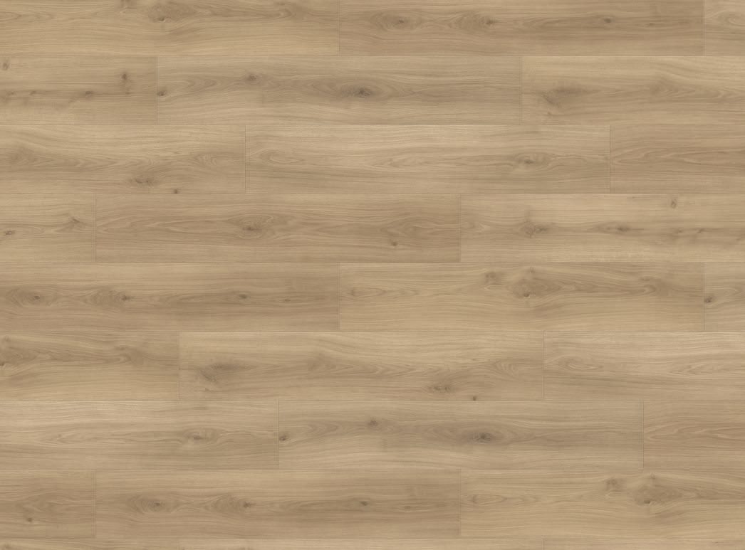 Immagine del prodotto 2 Campus 4B Rovere Emilia puro* authentic soft