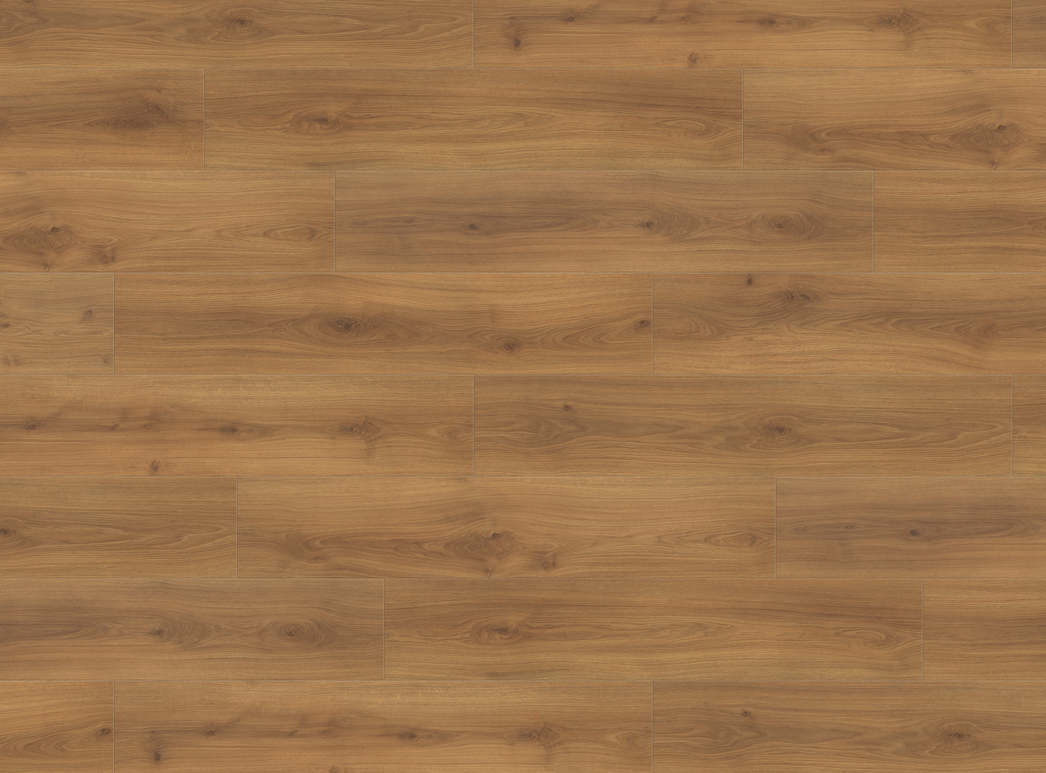 Immagine del prodotto 2 Campus 4B Rovere Emilia miele* authentic soft