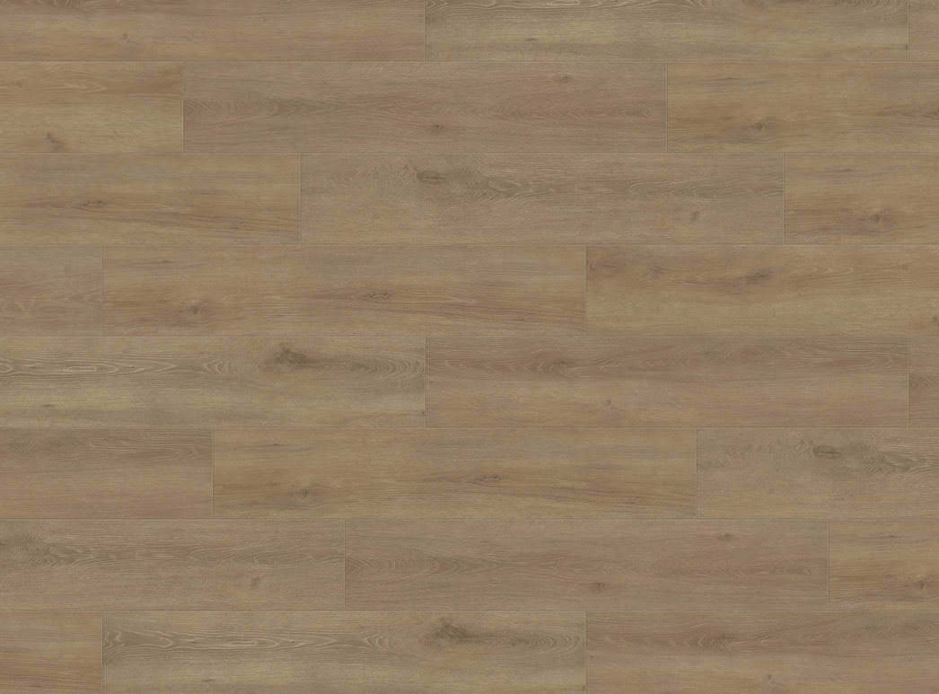 Immagine del prodotto 2 Campus 4B Rovere Veneto crema* authentic opaco