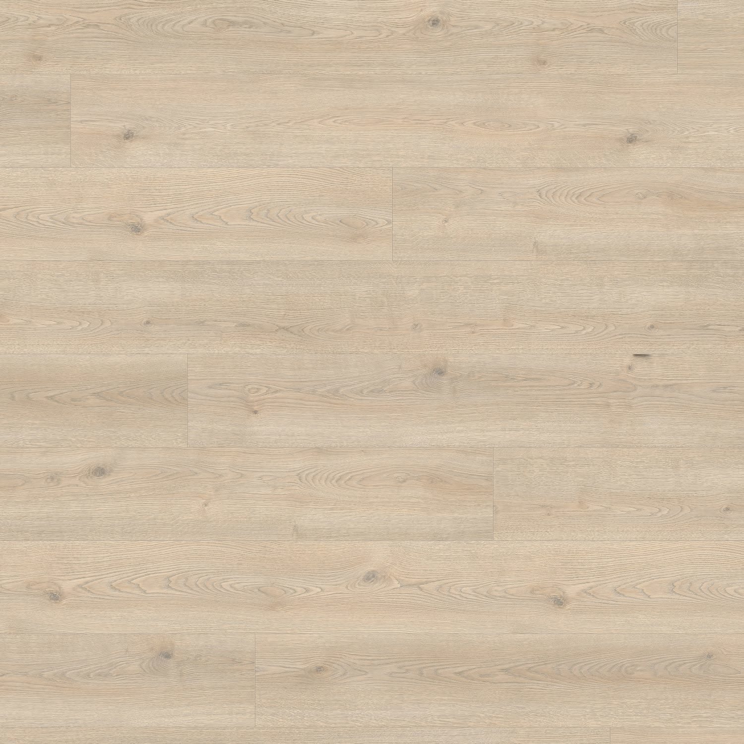 HARO Pavimento in laminato TRITTY 100 Gran Via 4B Rovere Contura grigio litico* authentic Top Connect