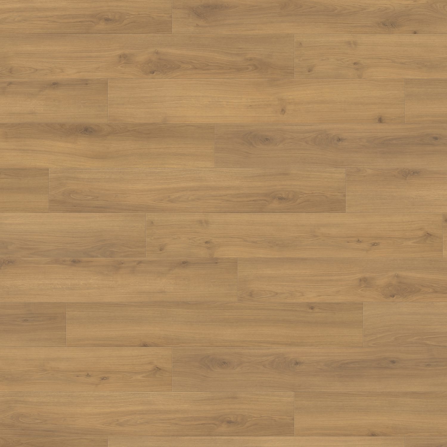 HARO Pavimento in laminato TRITTY 100 Plancia 4B Rovere Emilia miele* authentic soft Top Connect