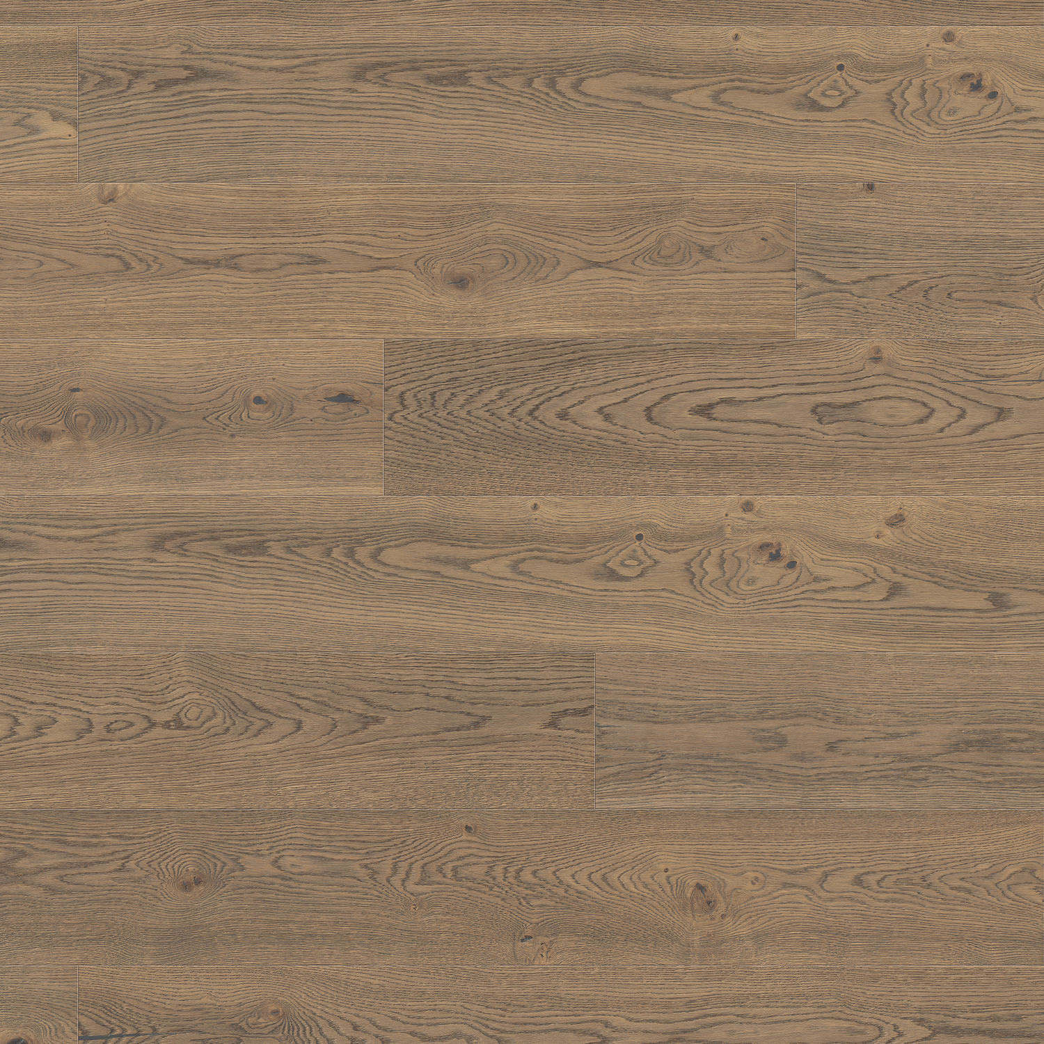 HARO PARQUET 4000 Plancia Plaza 240 4B Rovere grigio tabacco Universal spazzolato alpino naturaLin plus Top Connect