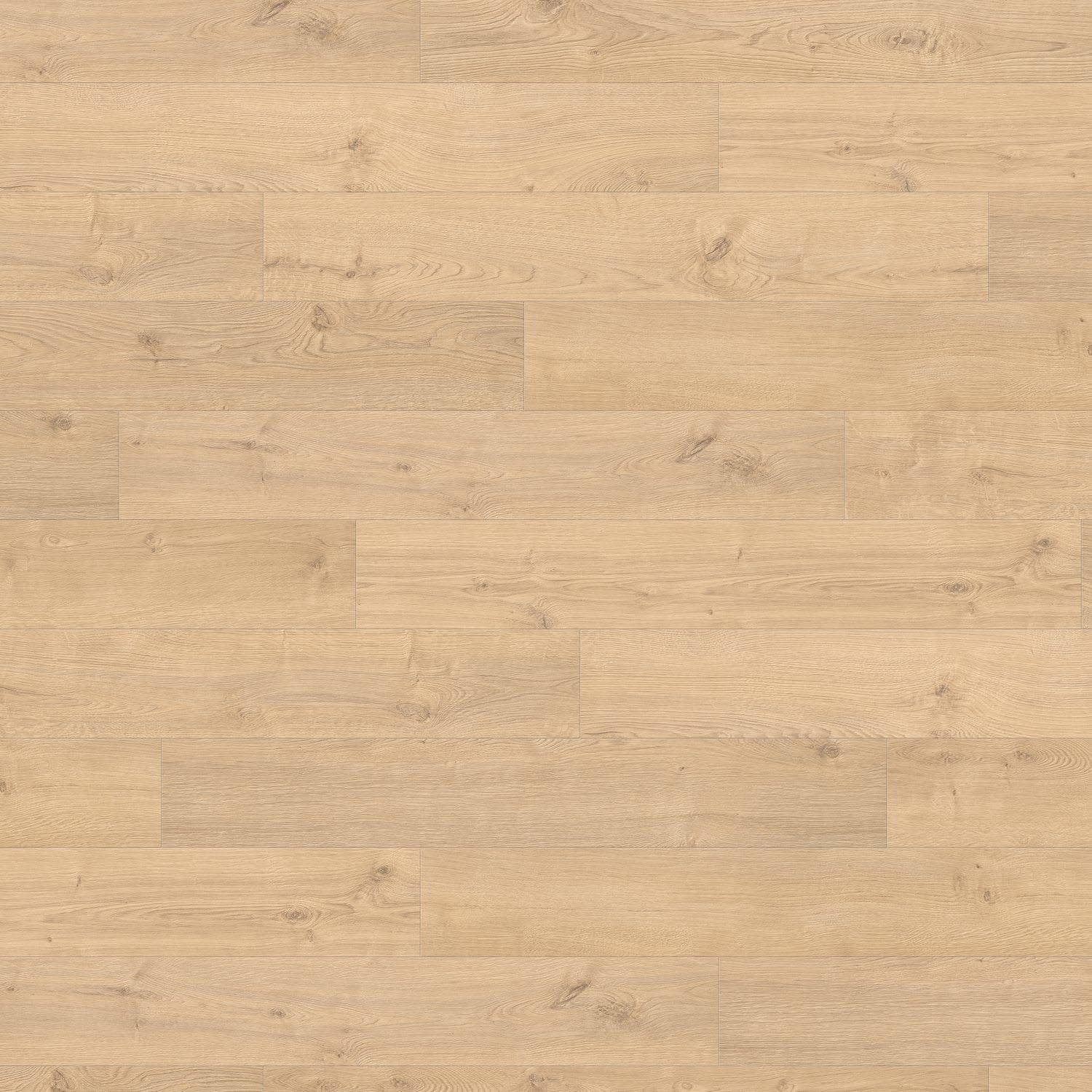 HARO Pavimento in laminato TRITTY 200 Aqua Plancia 4B Rovere Portland puro* authentic Silent CT Top Connect