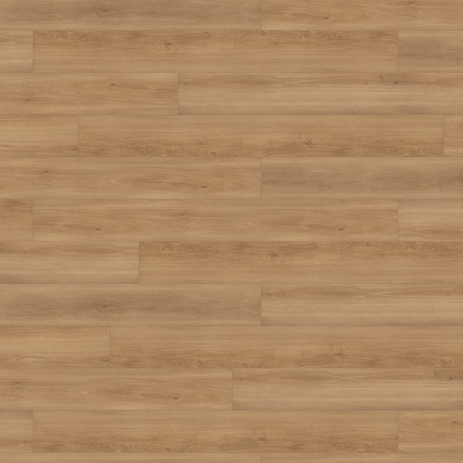 DISANO by HARO ClassicAqua Plancia XL 4B Rovere campo* spazzolato Top Connect