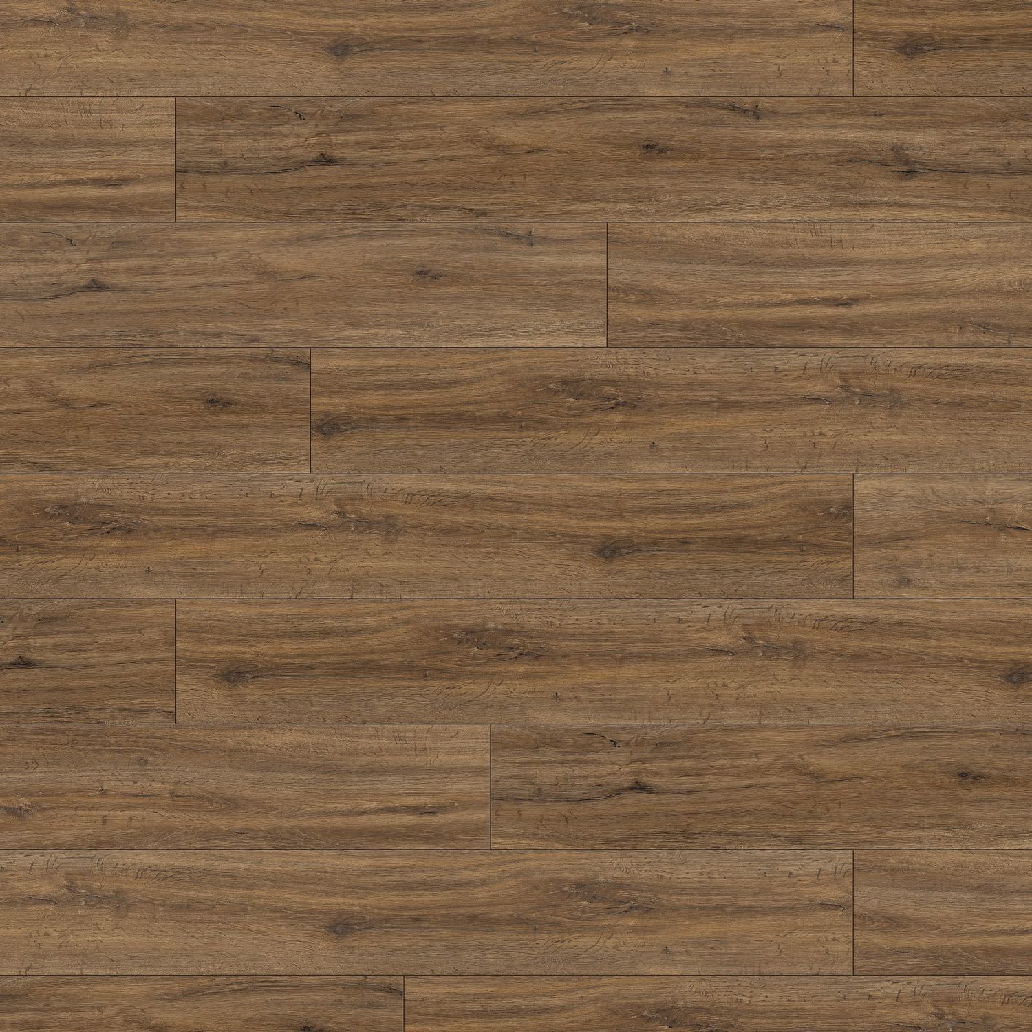 DISANO by HARO ClassicAqua Plancia XL 4B Rovere selvaggio* spazzolato Top Connect