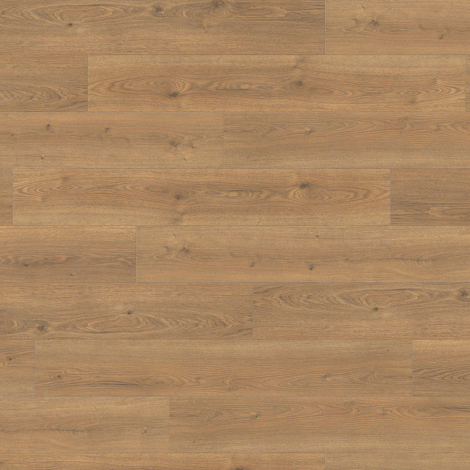 HARO Pavimento in laminato TRITTY 200 Aqua Plancia 4B Rovere Flavia natur* authentic Silent CT Top Connect