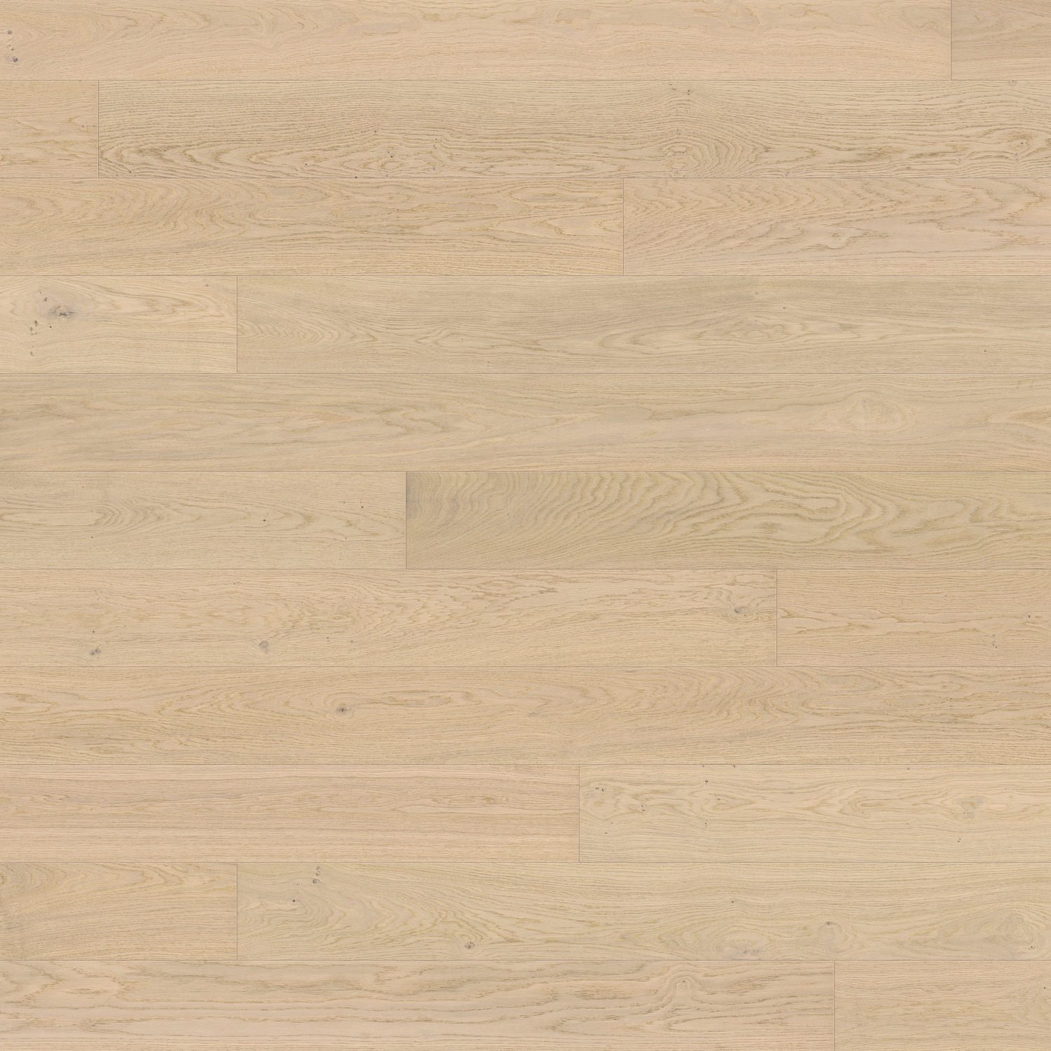 HARO PARQUET 4000 Plancia 180 4B Rovere bianco chiaro Markant spazzolato naturaDur Top Connect