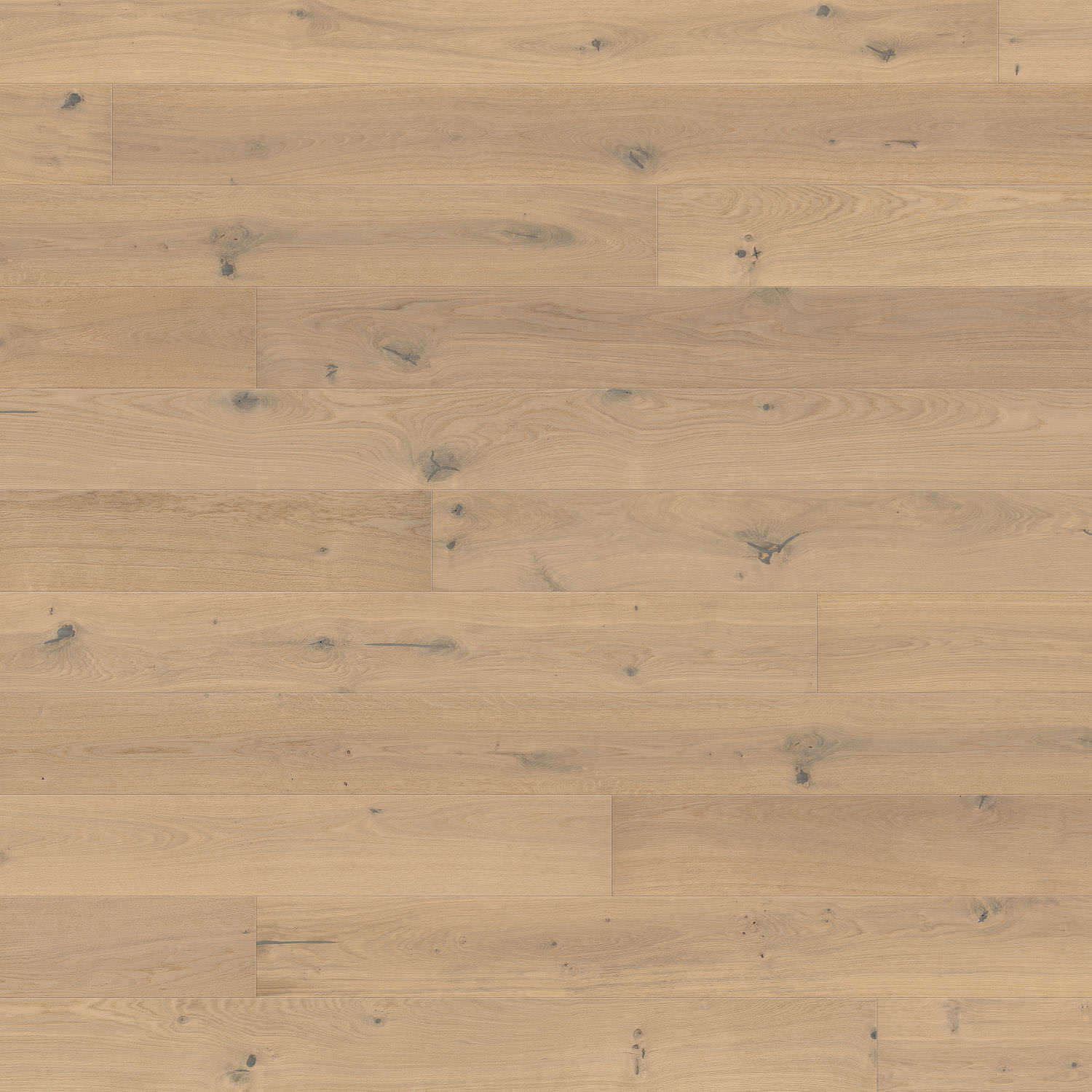 HARO PARQUET 4000 Plancia 180 4B Rovere bianco chiaro Sauvage spazzolato naturaDur Top Connect