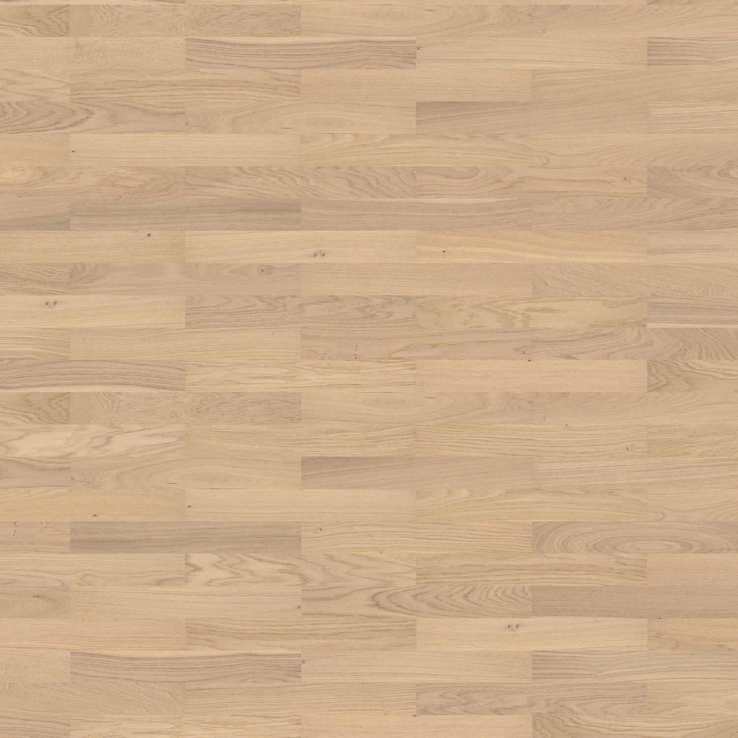HARO PARQUET 4000 Listello Allegro Rovere bianco chiaro Objekt naturaDur Maschio/femmina