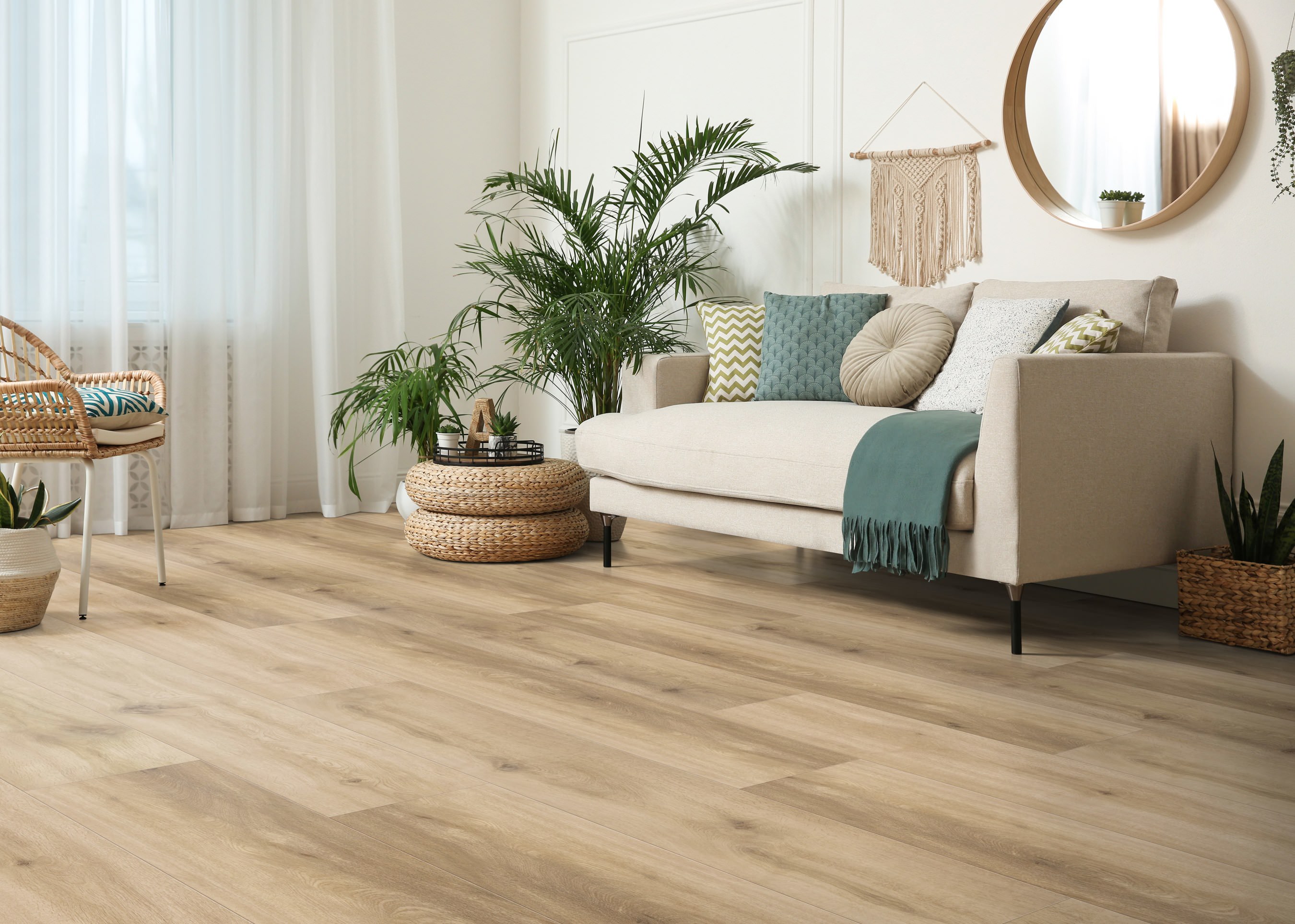 DISANO by HARO ClassicAqua Plancia XL 4B Rovere Provence puro* authentic Top Connect