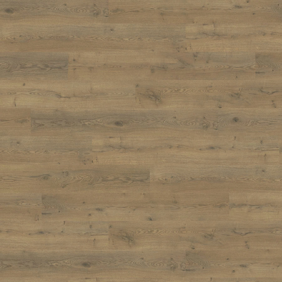 Produktbild HARO Pavimento in laminato edizione speciale NKL31 Plancia Rovere Lombardia* spazzolato opaco Top Connect