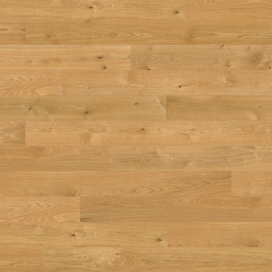 Produktbild HARO PARQUET 4000 1750 mm Plancia 180 4B Rovere Elegant spazzolato verniciato opaco Top Connect