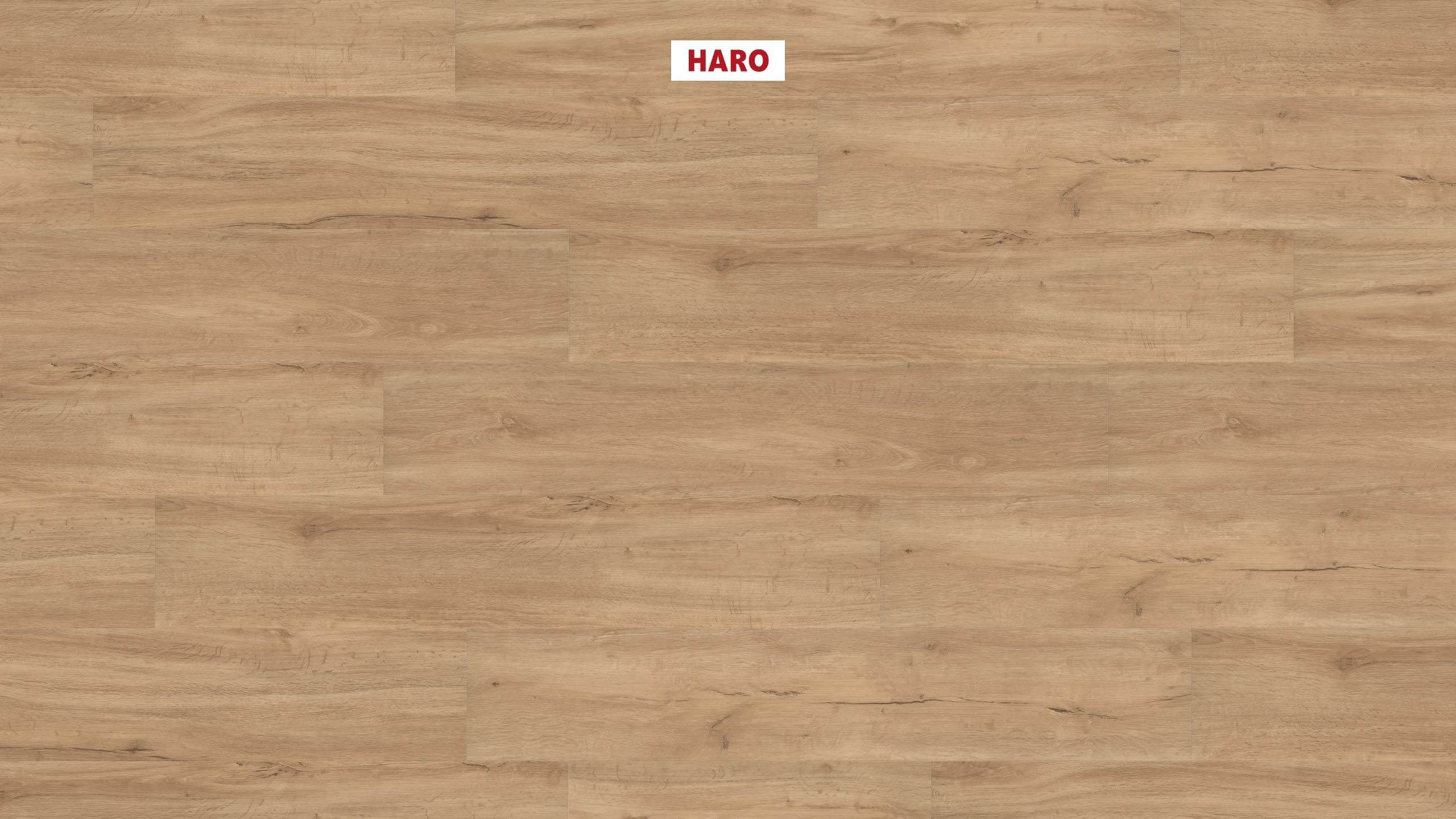 DISANO by HARO Saphir Plancia 4BM Rovere sabbia* spazzolato Top Connect
