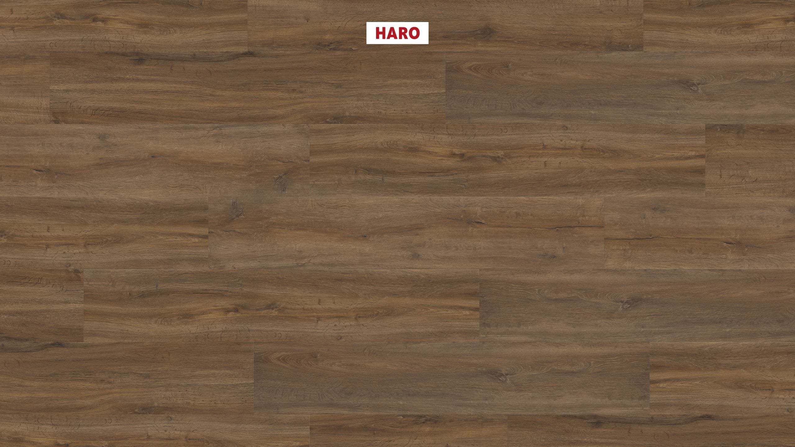 DISANO by HARO Saphir Plancia 4BM Rovere selvaggio* spazzolato Top Connect