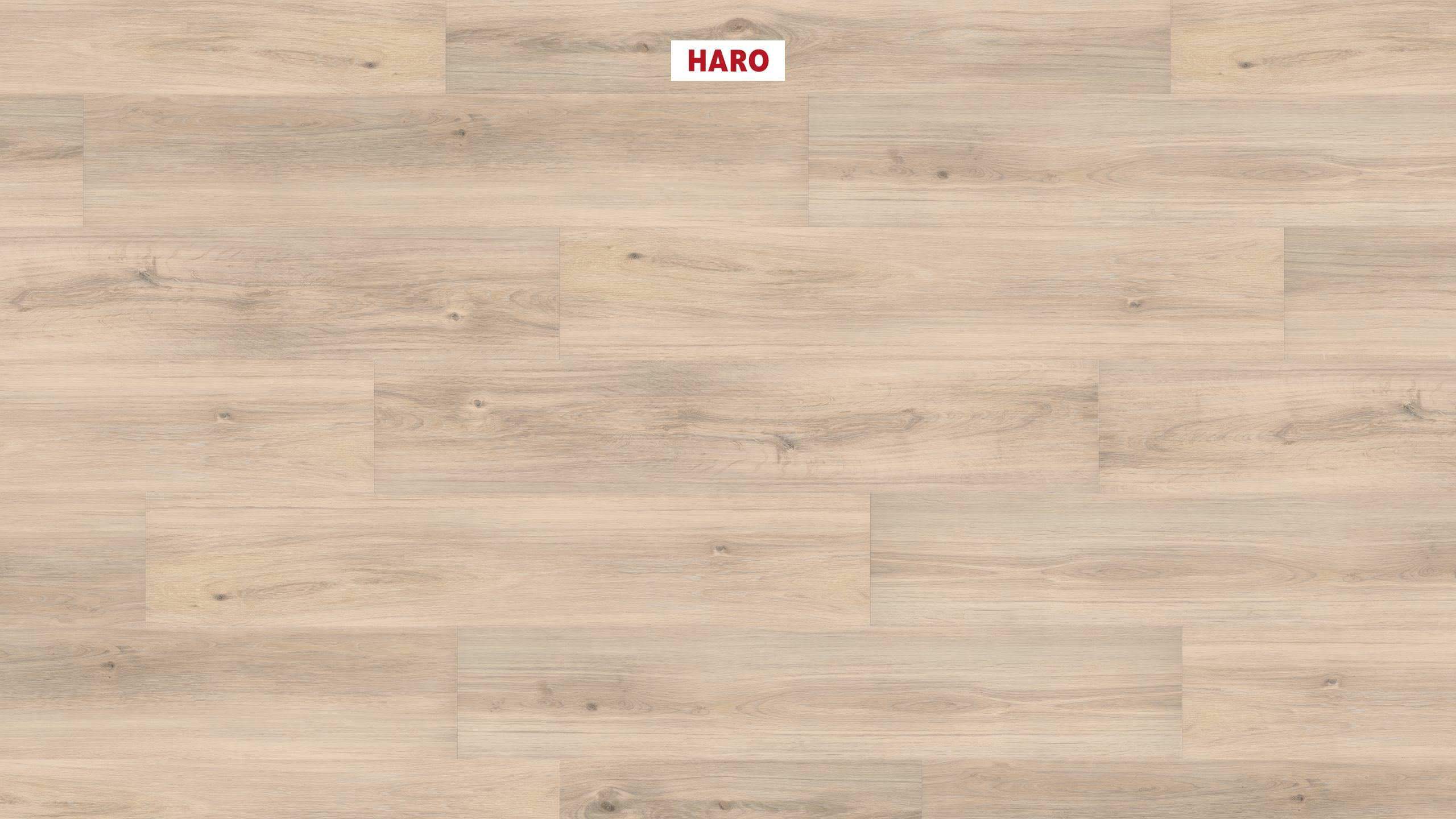 DISANO by HARO Saphir Plancia 4BM Rovere cristallo* spazzolato Top Connect