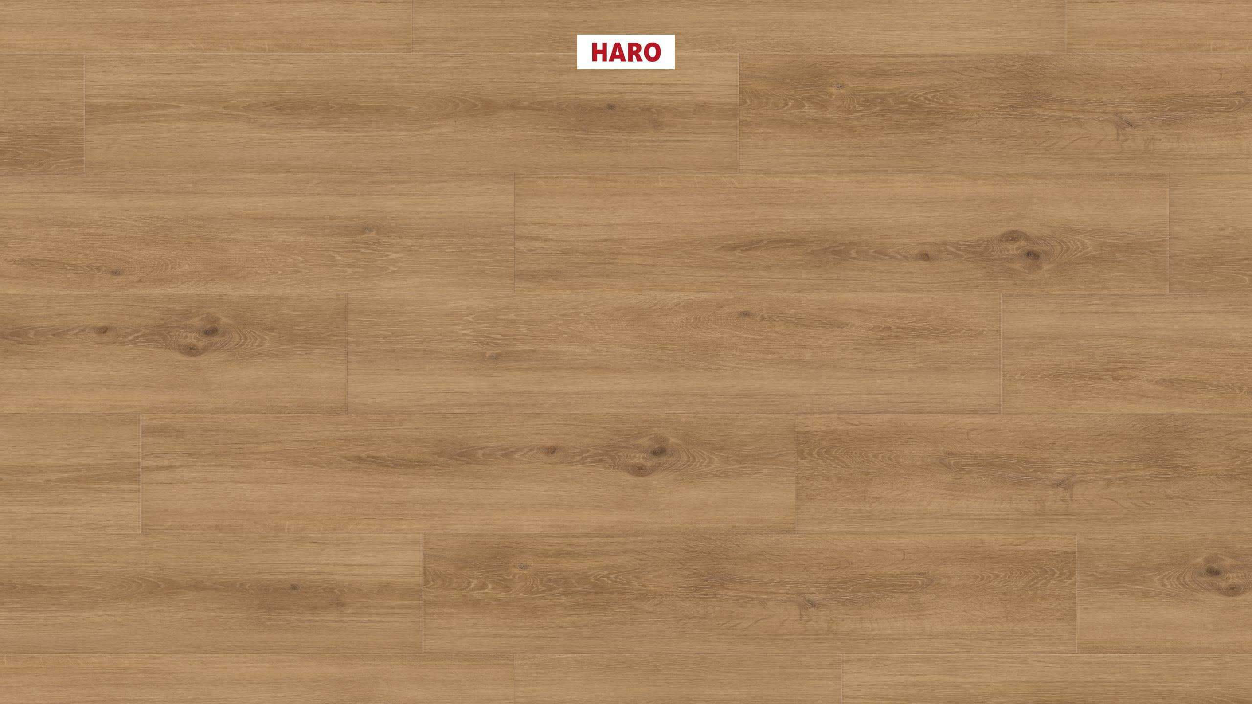 DISANO by HARO Saphir Plancia 4BM Rovere campo* spazzolato Top Connect