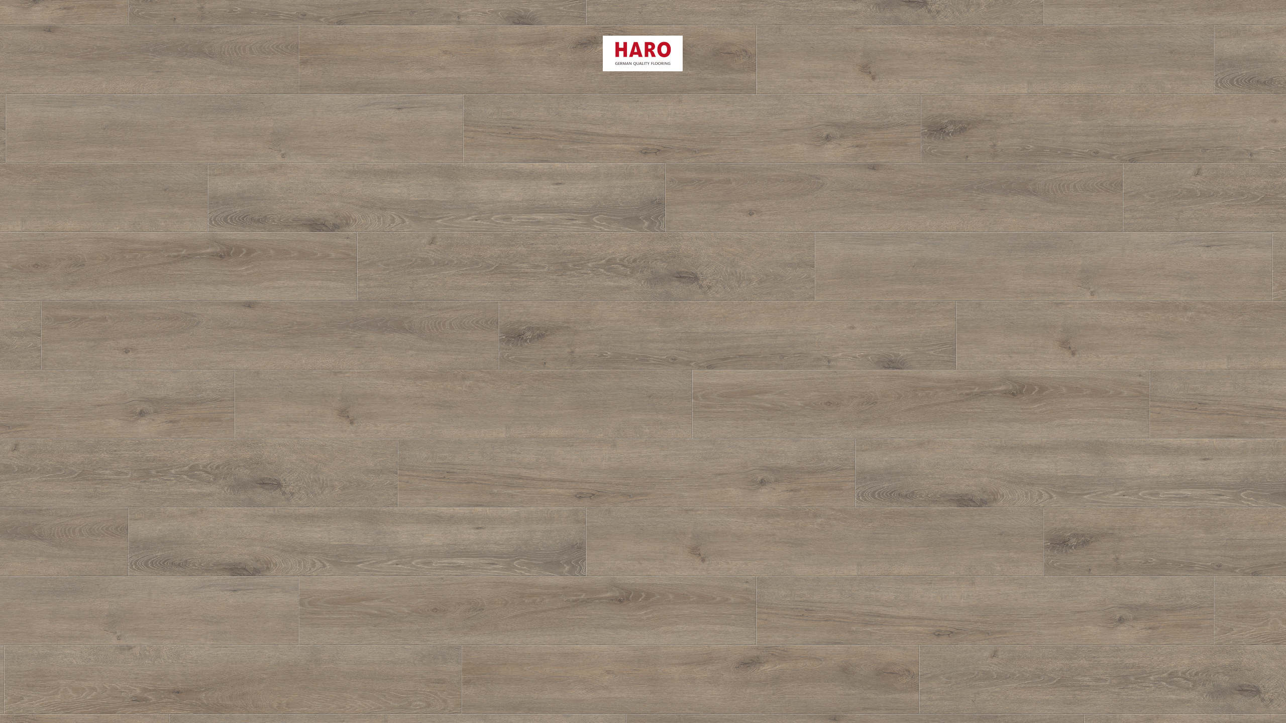 HARO Pavimento in laminato TRITTY 200 Aqua Plancia 4B Rovere Veneto mocca* authentic opaco Top Connect