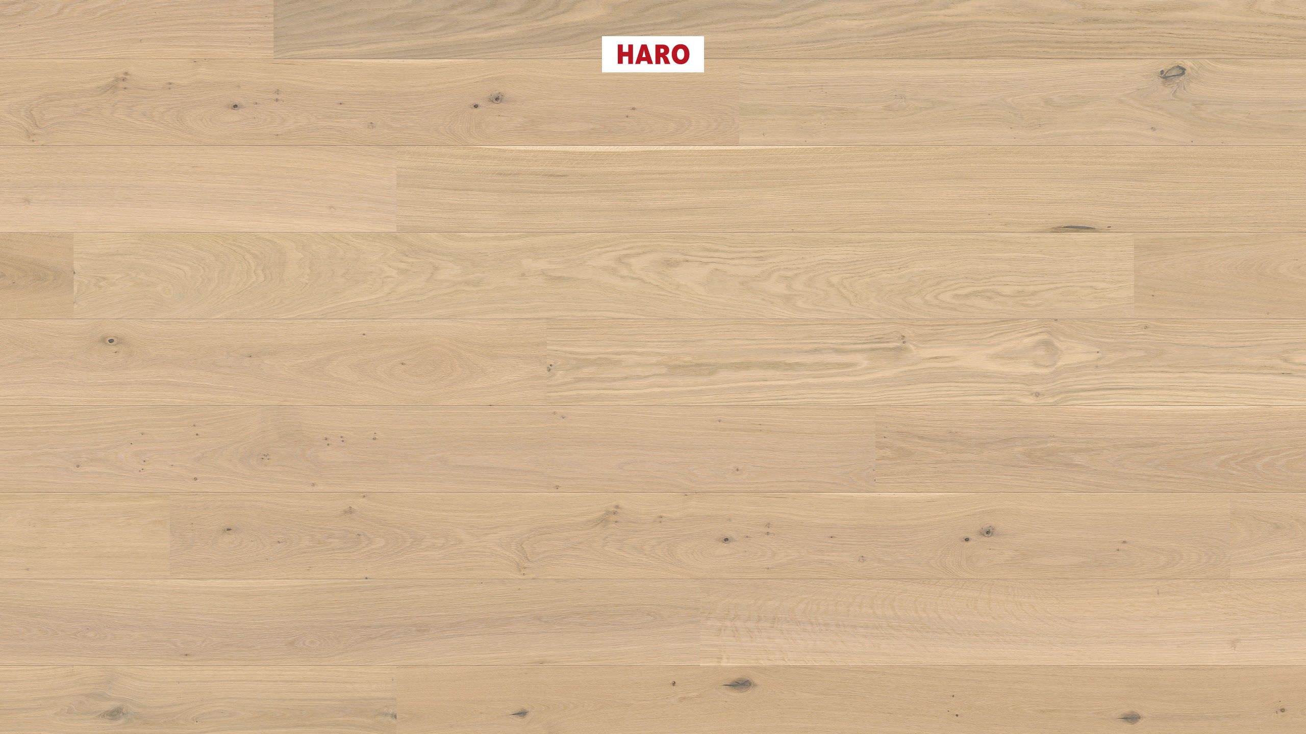 HARO PARQUET 2500 Plancia 180 2B Rovere bianco puro Universal spazzolato naturaLin plus Top Connect