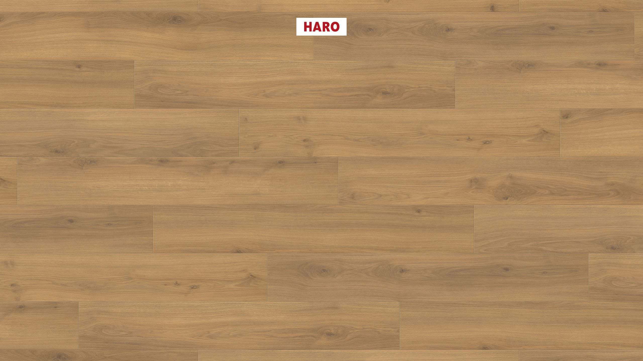 HARO Pavimento in laminato TRITTY 100 Plancia 4B Rovere Emilia miele* authentic soft Top Connect
