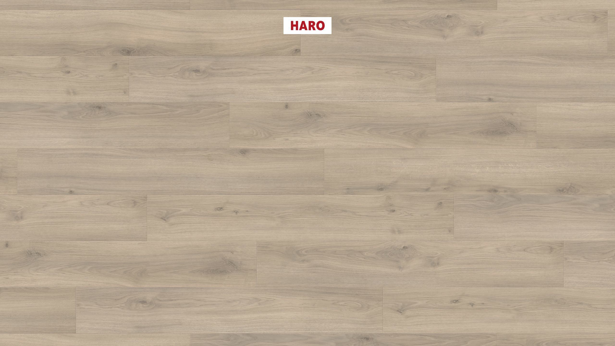 HARO Pavimento in laminato TRITTY 100 Plancia 4B Rovere Emilia grigio velluto* authentic soft Top Connect