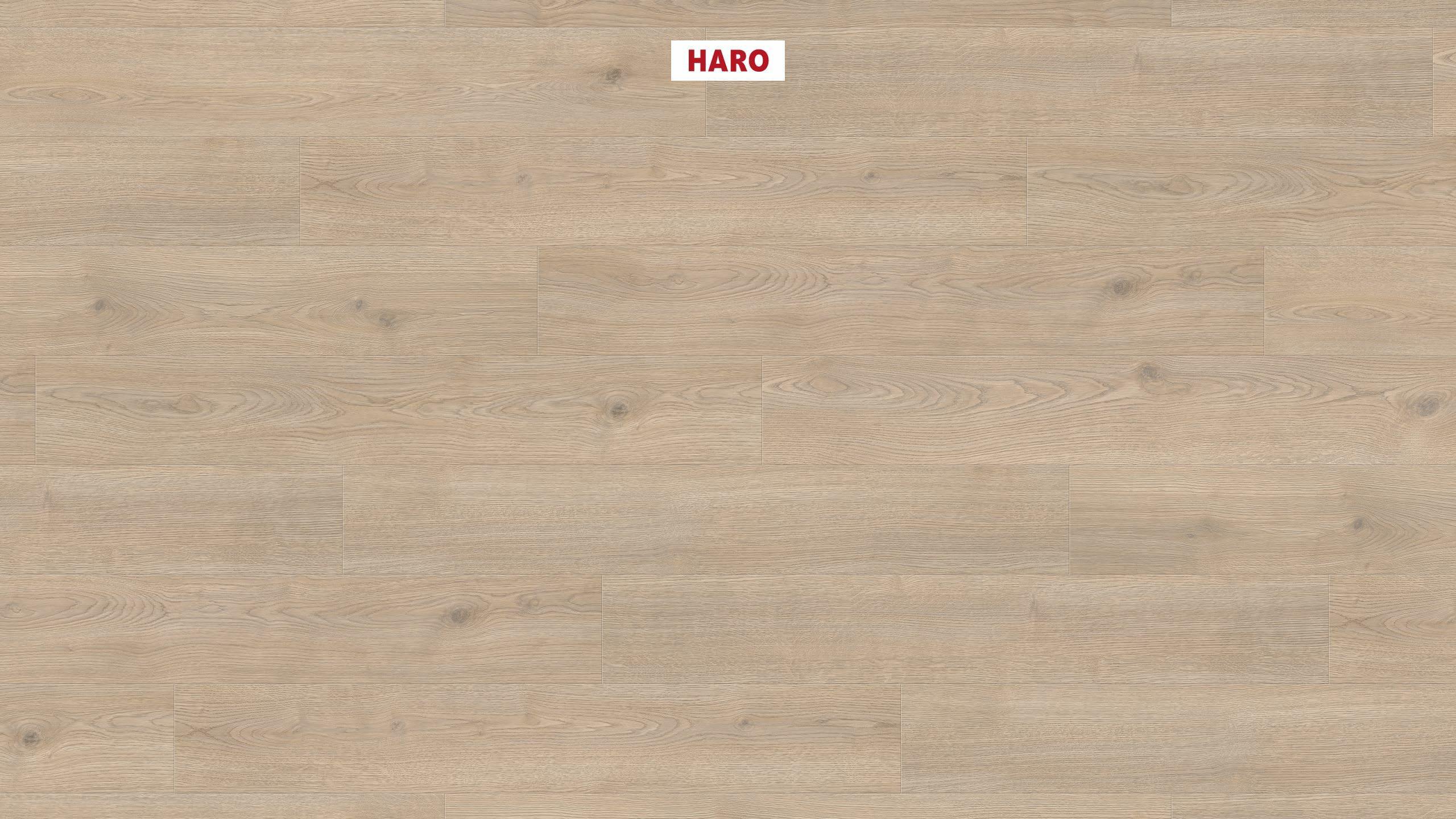HARO Pavimento in laminato TRITTY 100 Plancia 4B Rovere Contura grigio litico* authentic Silent Pro Top Connect