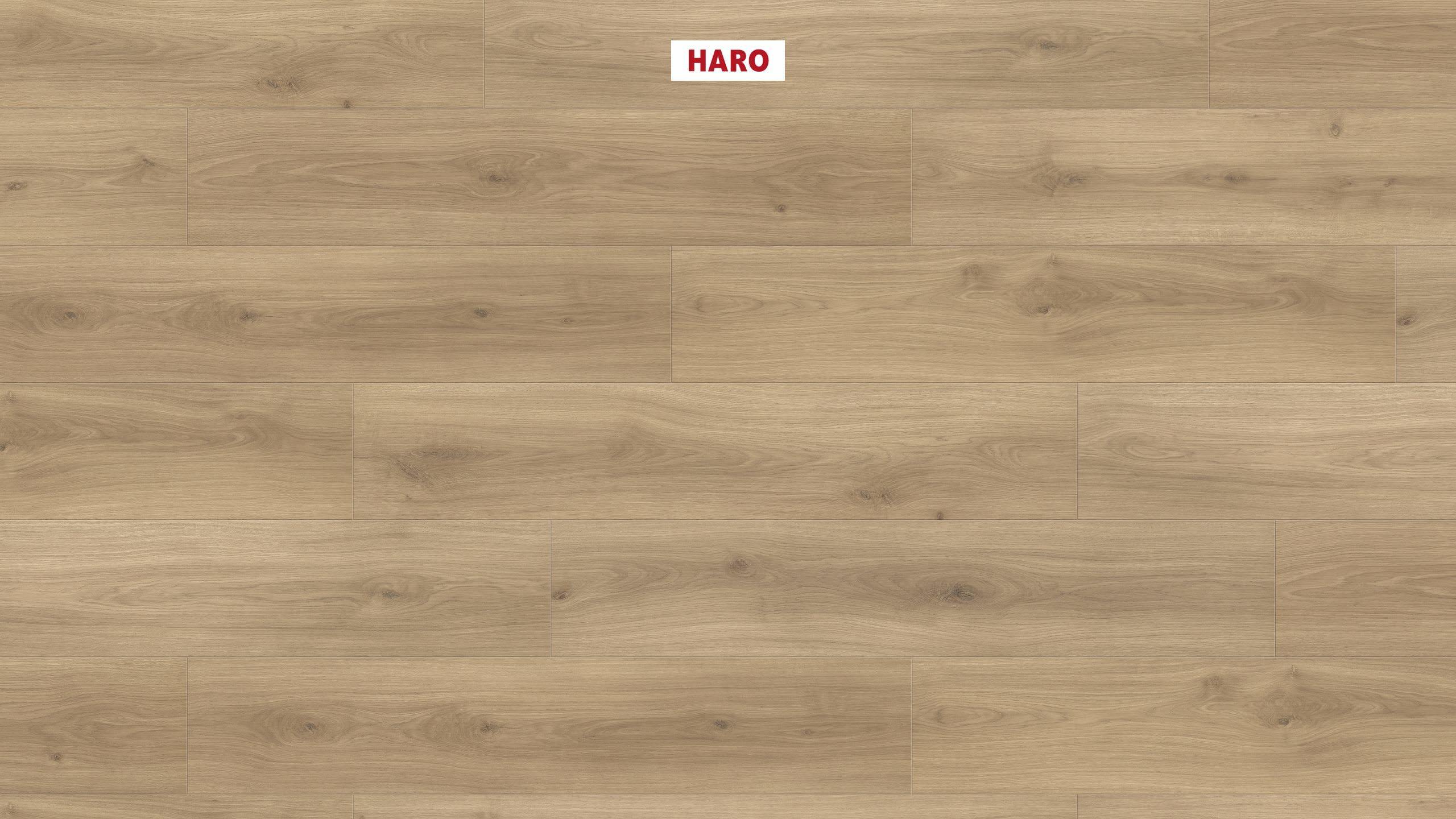 HARO Pavimento in laminato TRITTY 100 Campus 4B Rovere Emilia puro* authentic soft Top Connect