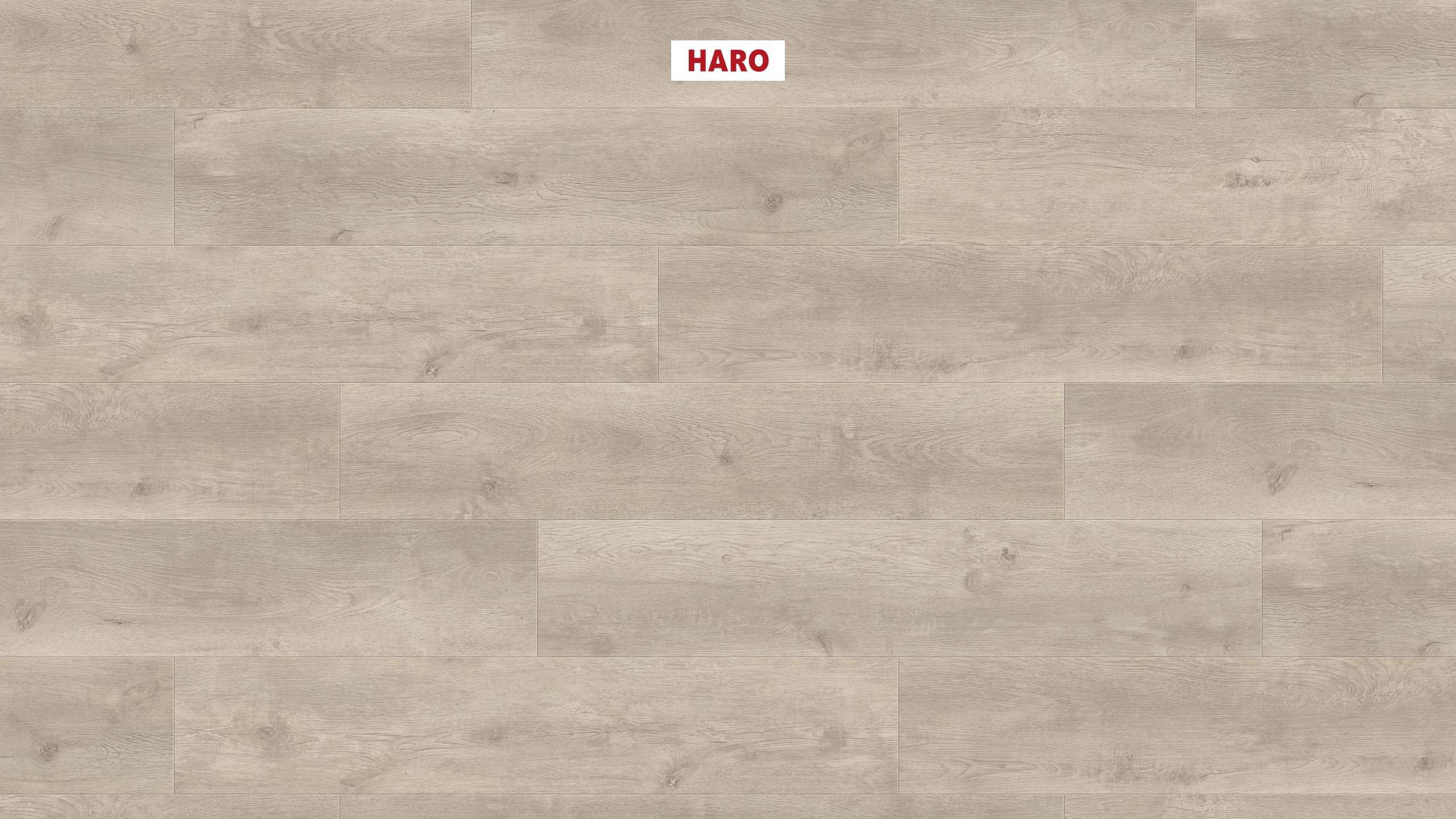 HARO Pavimento in laminato TRITTY 100 Campus 4B Rovere Bergamo grigio argento* authentic soft Silent CT Top Connect
