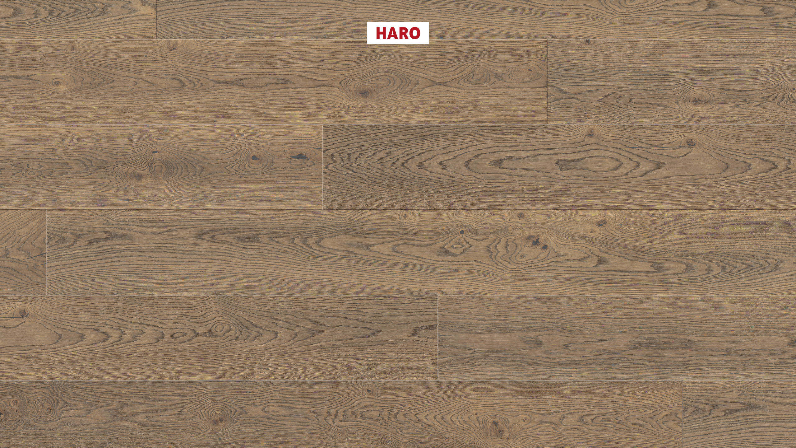 HARO PARQUET 4000 Plancia Plaza 240 4B Rovere grigio tabacco Universal spazzolato alpino naturaLin plus Top Connect