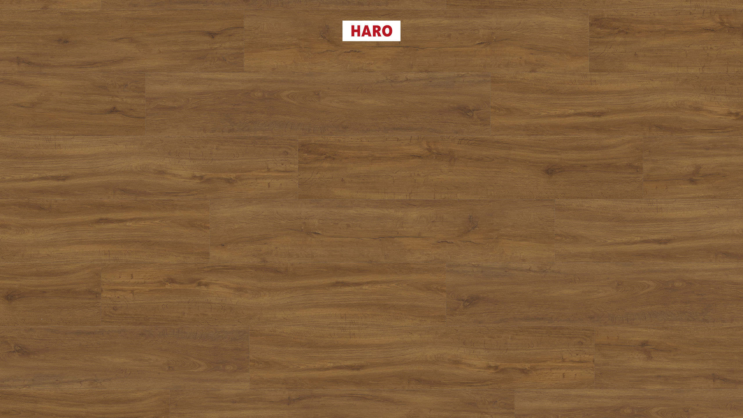 DISANO by HARO Saphir Plancia 4BM Rovere di montagna* spazzolato Top Connect