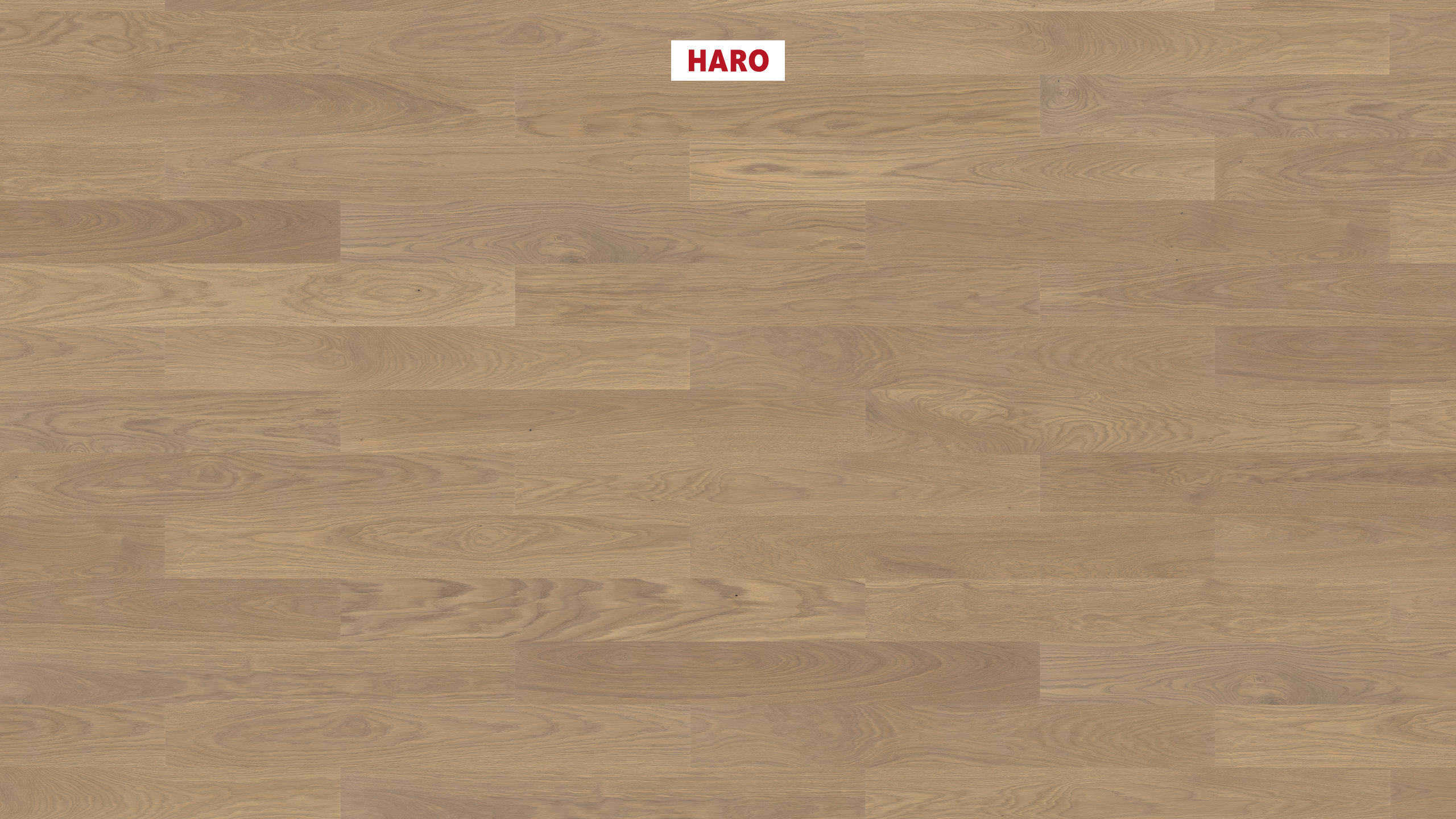 HARO PARQUET 4000 Listone Prestige Rovere grigio sabbia Markant spazzolato naturaDur Maschio/femmina